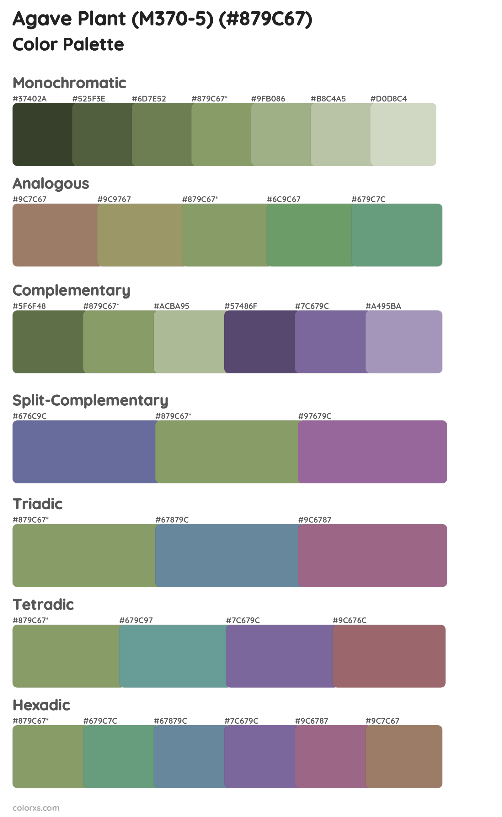Agave Plant (M370-5) Color Scheme Palettes