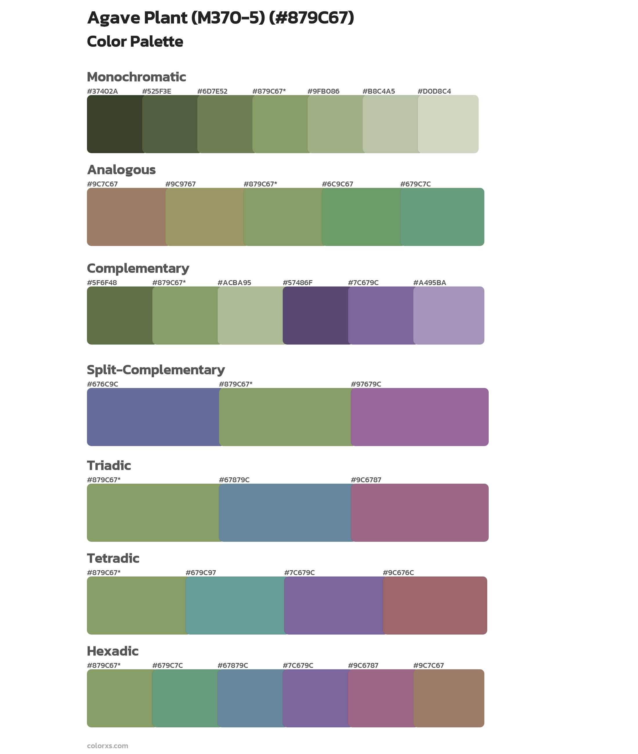 Agave Plant (M370-5) Color Scheme Palettes