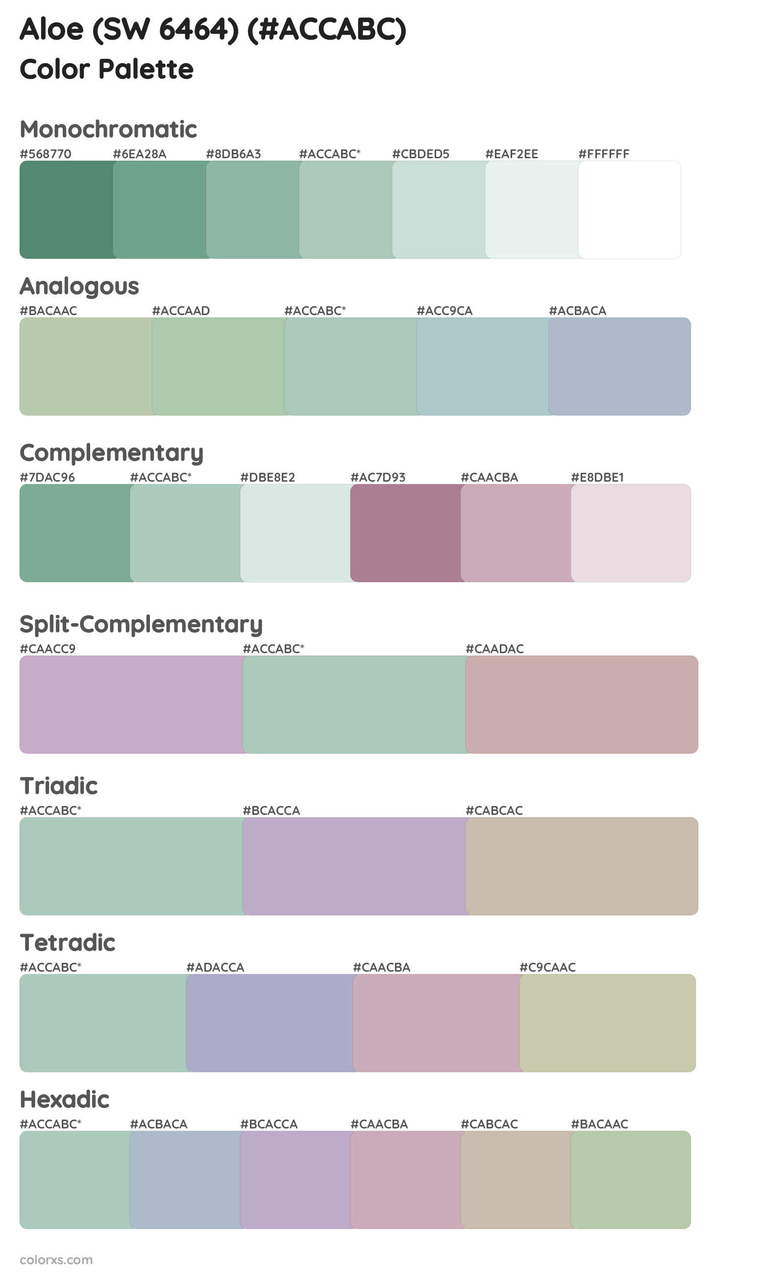 Aloe (SW 6464) Color Scheme Palettes