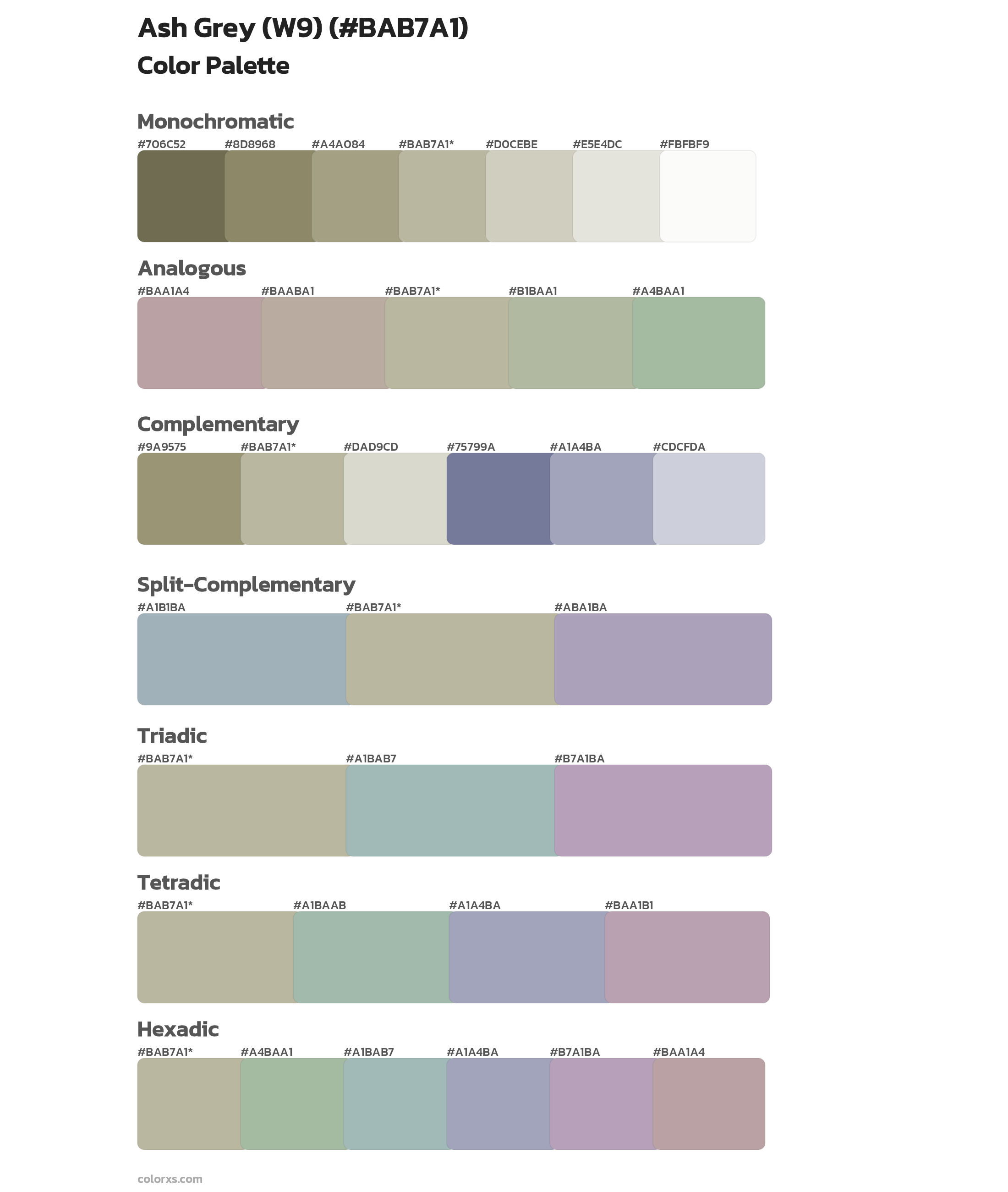 Ash Grey (W9) Color Scheme Palettes