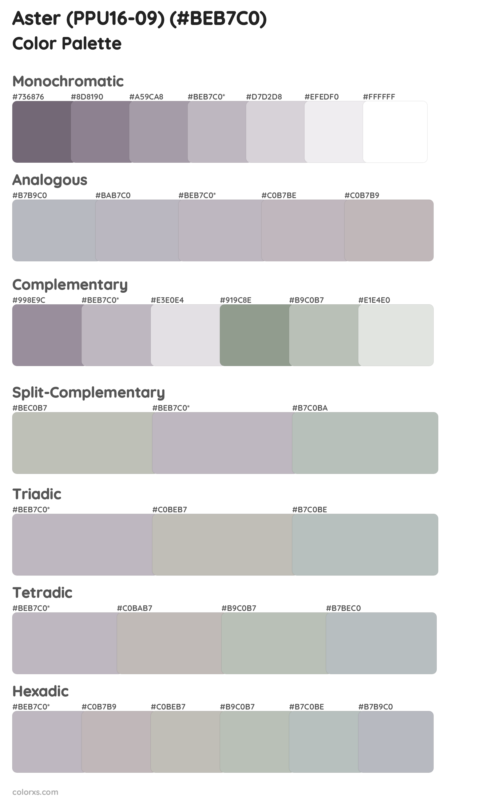 Aster (PPU16-09) Color Scheme Palettes