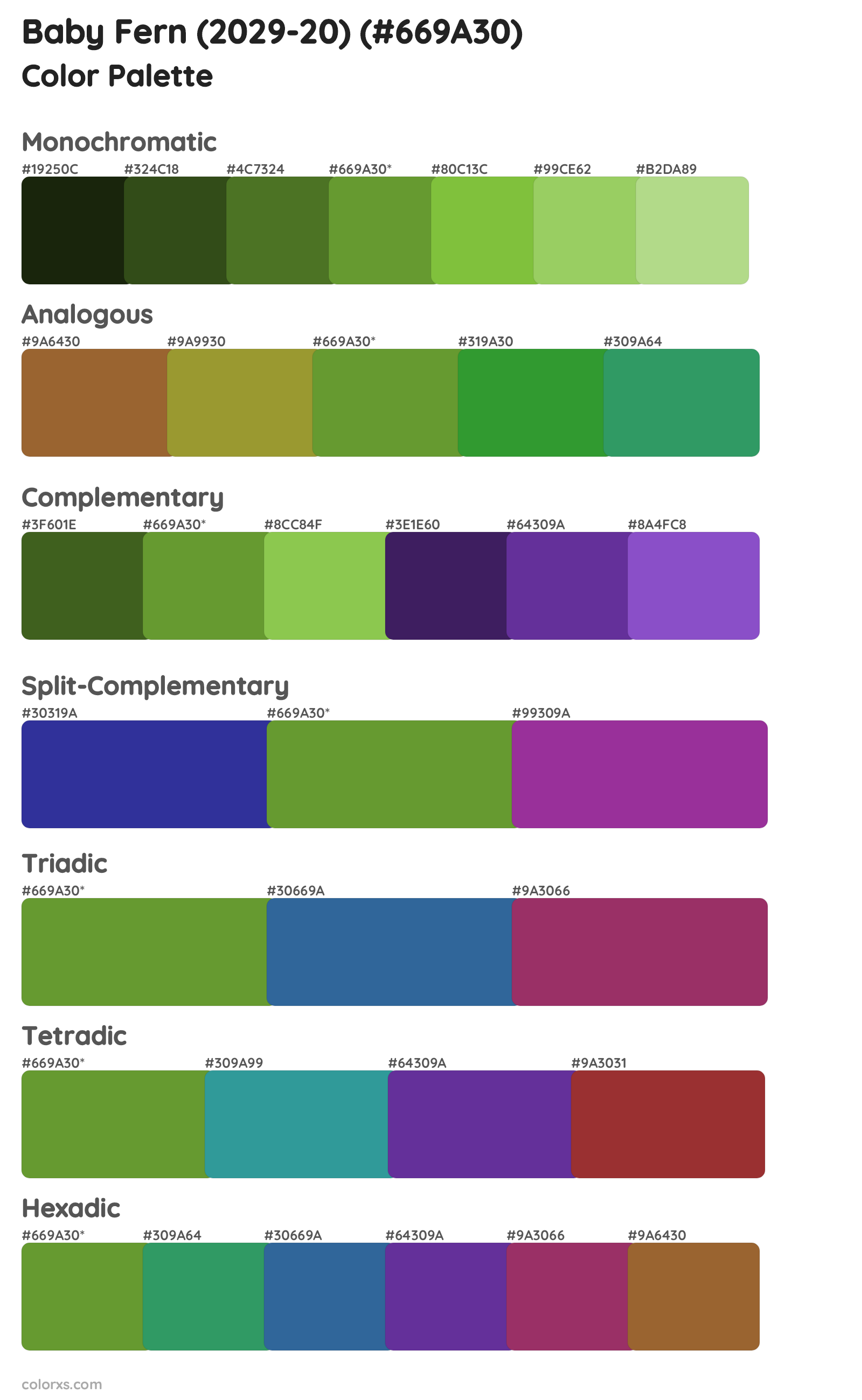 Baby Fern (2029-20) Color Scheme Palettes