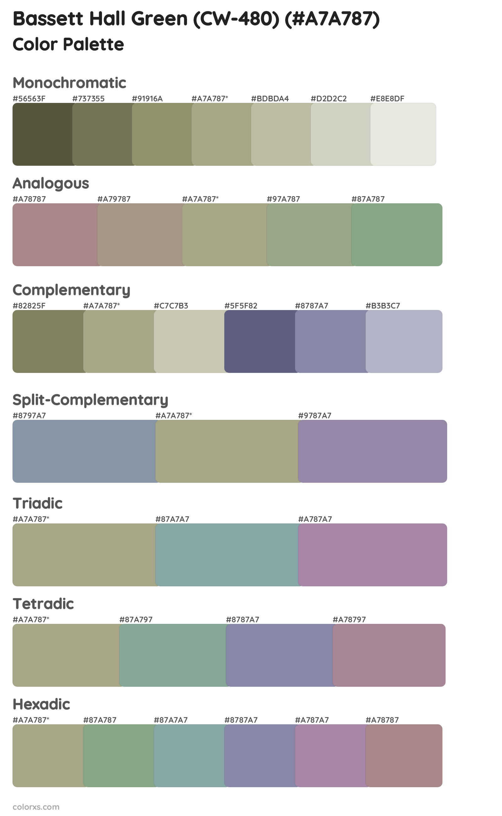 Bassett Hall Green (CW-480) Color Scheme Palettes