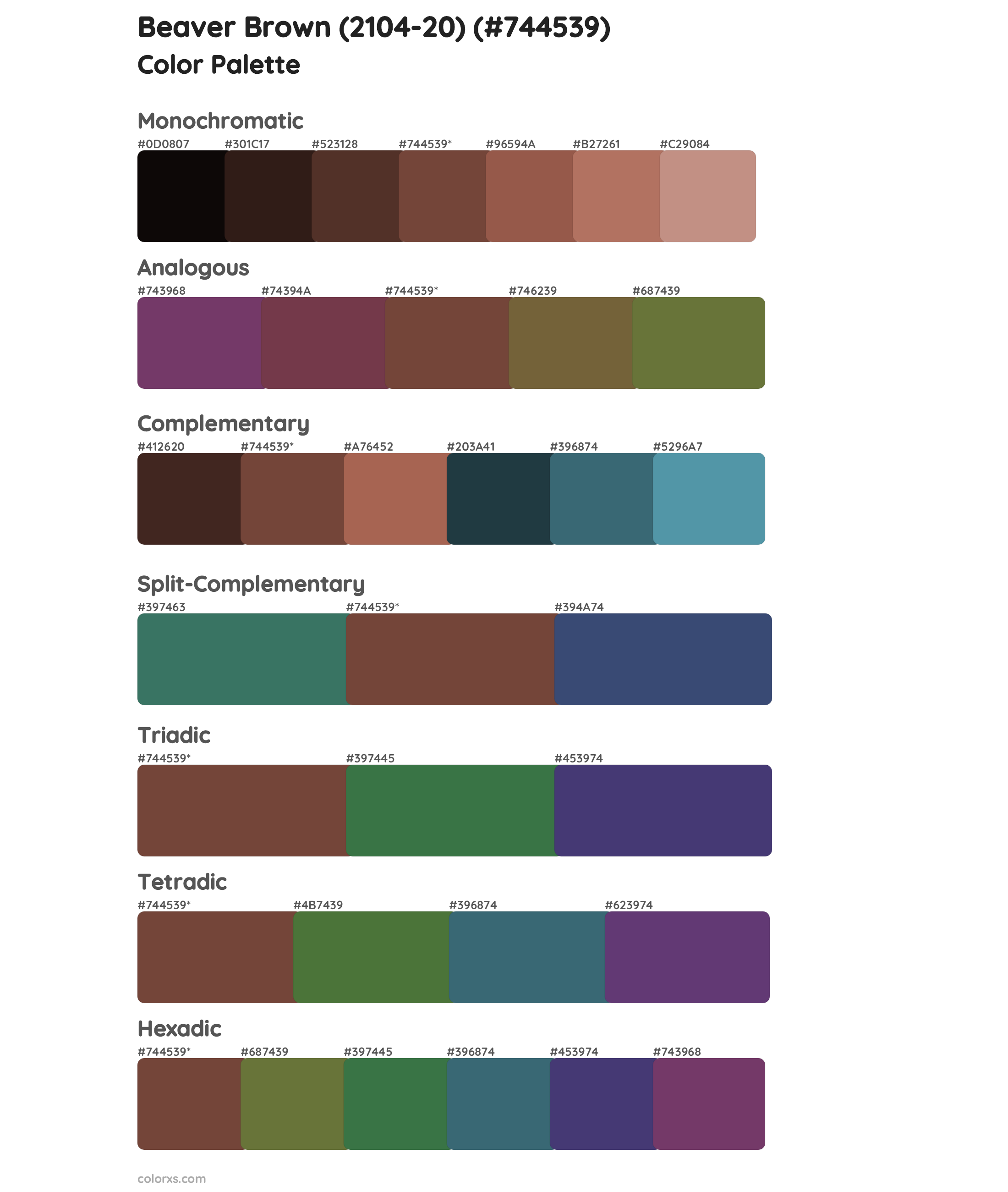 Beaver Brown (2104-20) Color Scheme Palettes