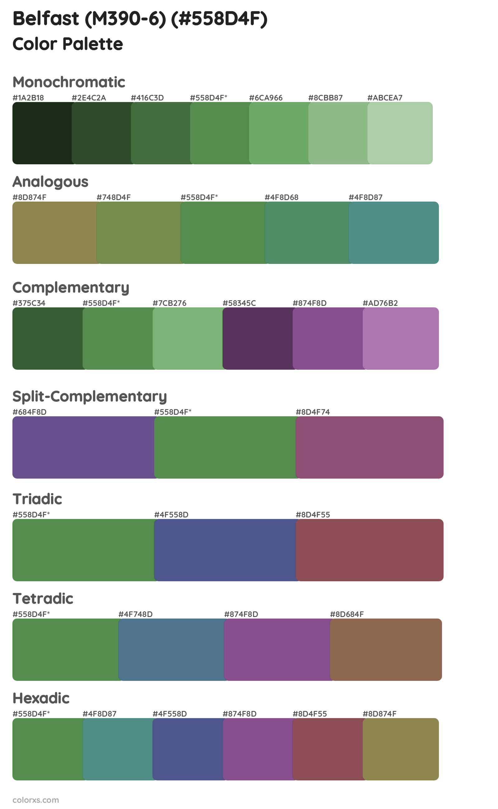 Belfast (M390-6) Color Scheme Palettes