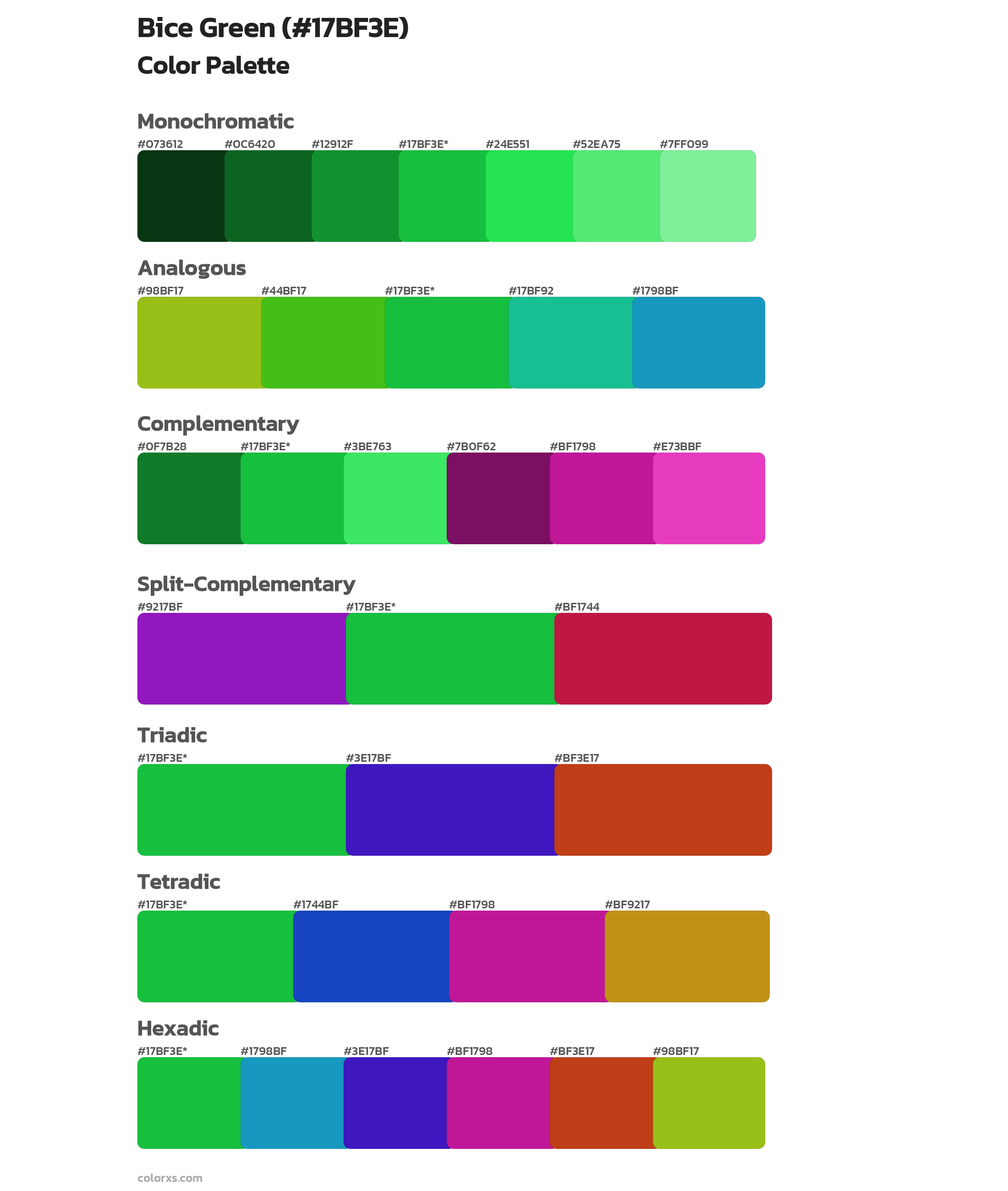 Bice Green Color Scheme Palettes