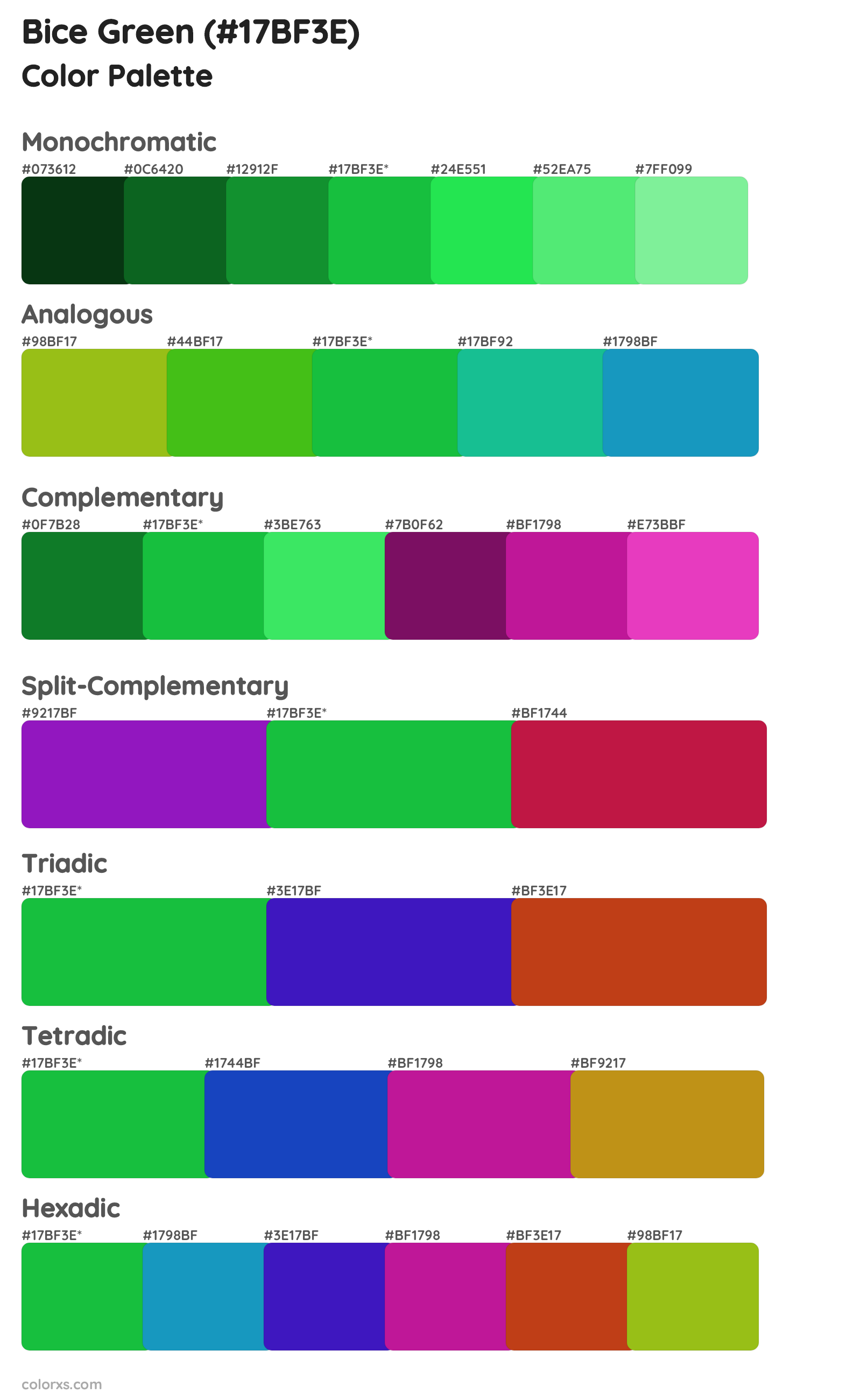 Bice Green Color Scheme Palettes