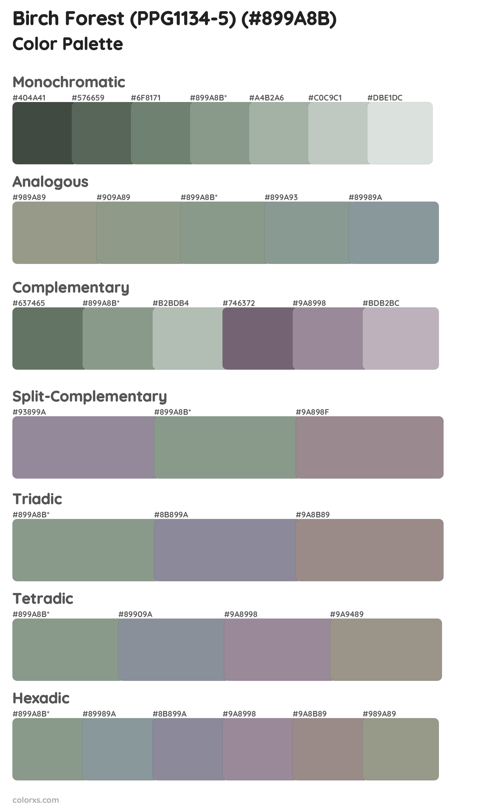 Birch Forest (PPG1134-5) Color Scheme Palettes