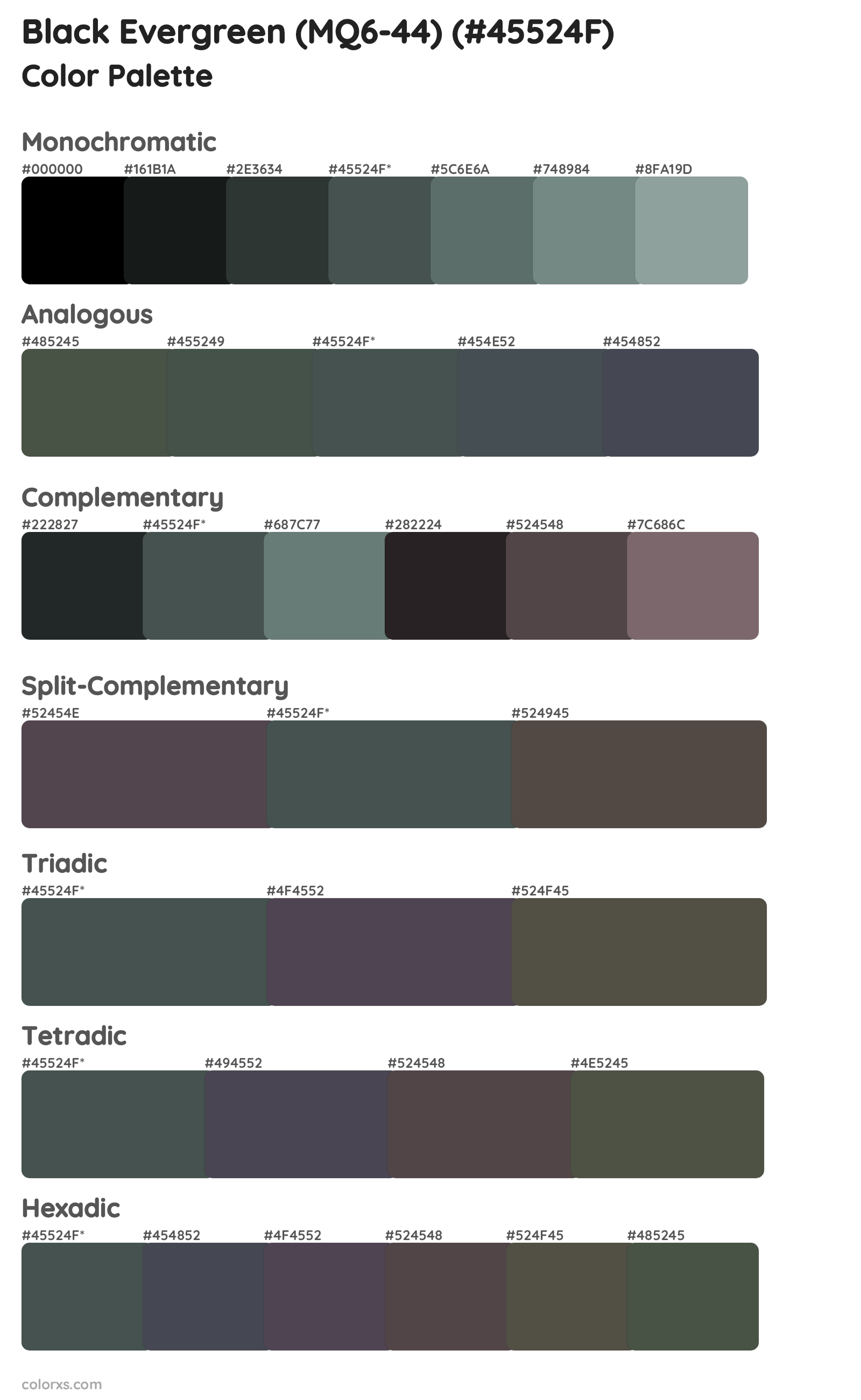 Black Evergreen (MQ6-44) Color Scheme Palettes