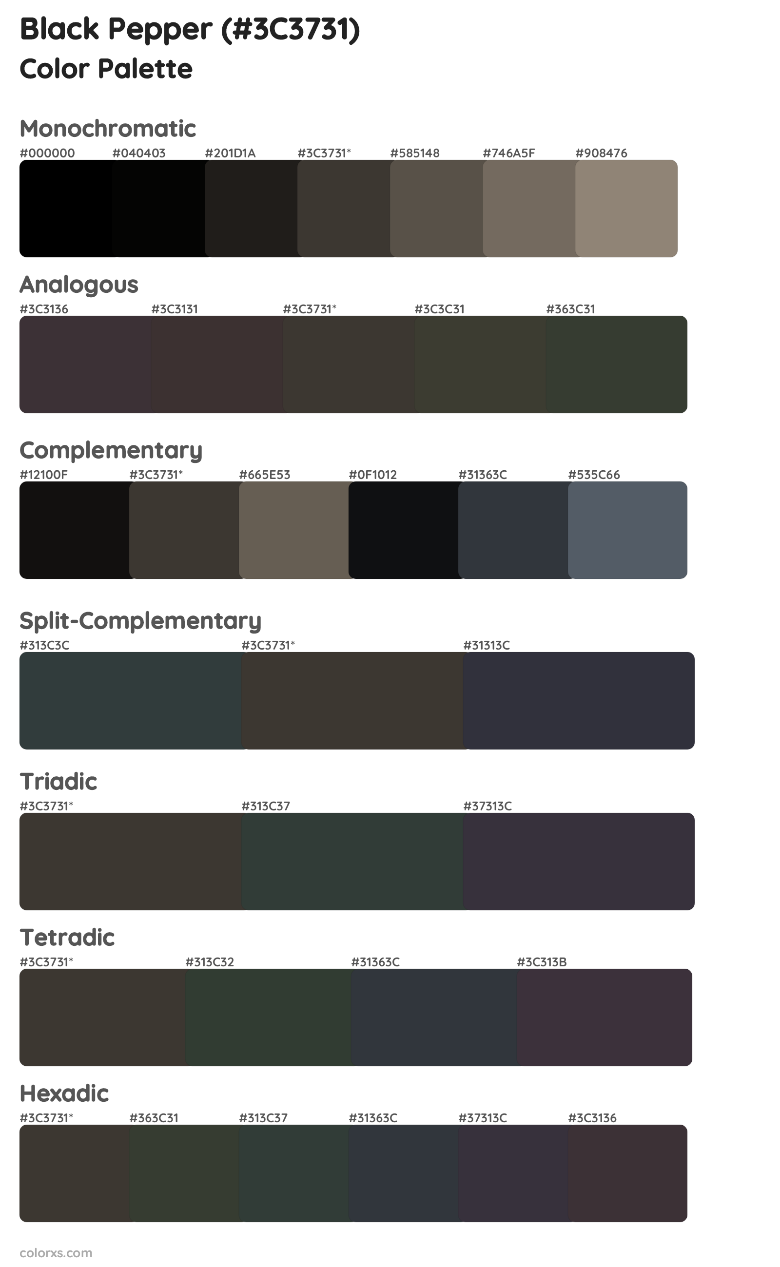 Black Pepper Color Scheme Palettes