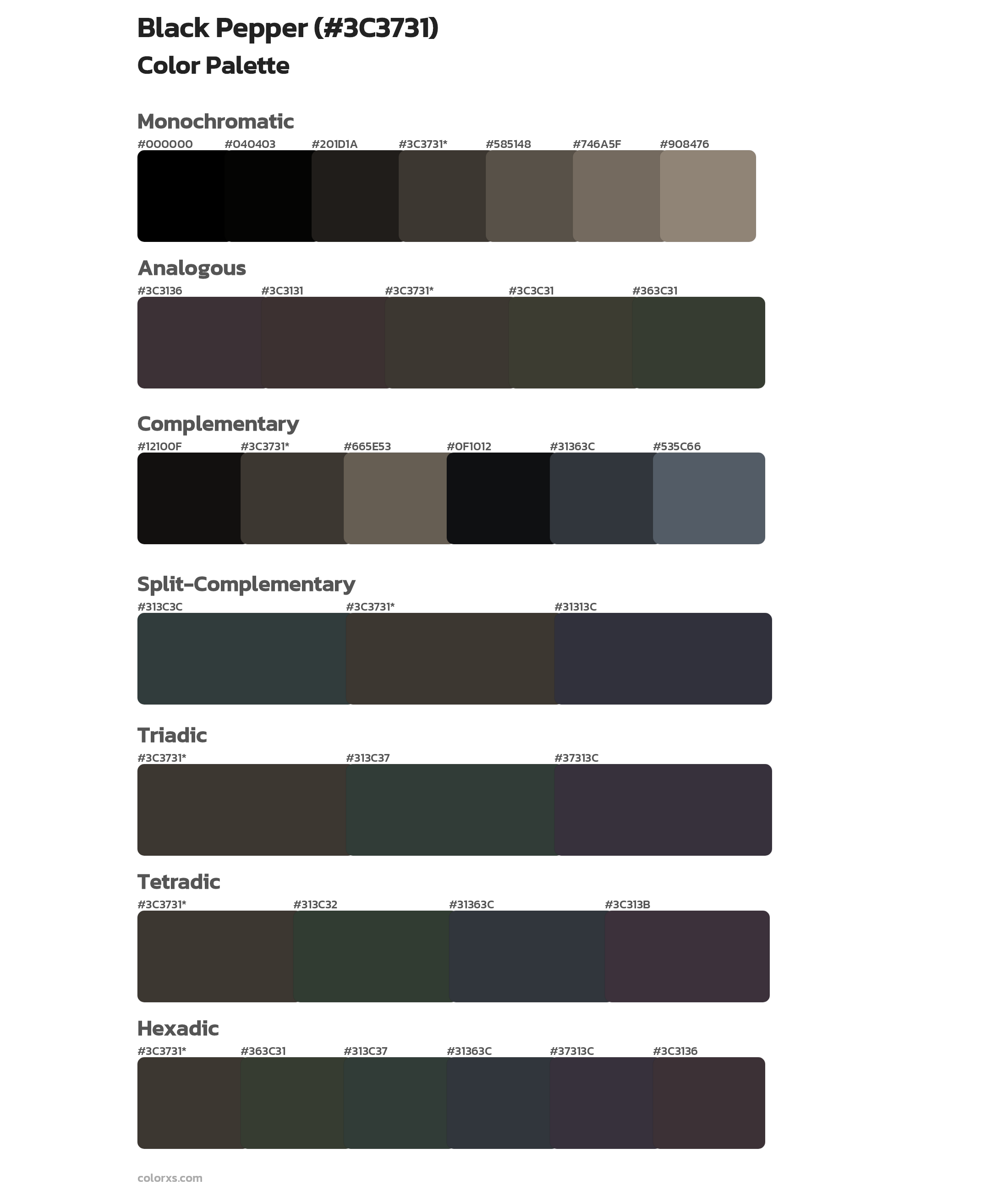 Black Pepper Color Scheme Palettes