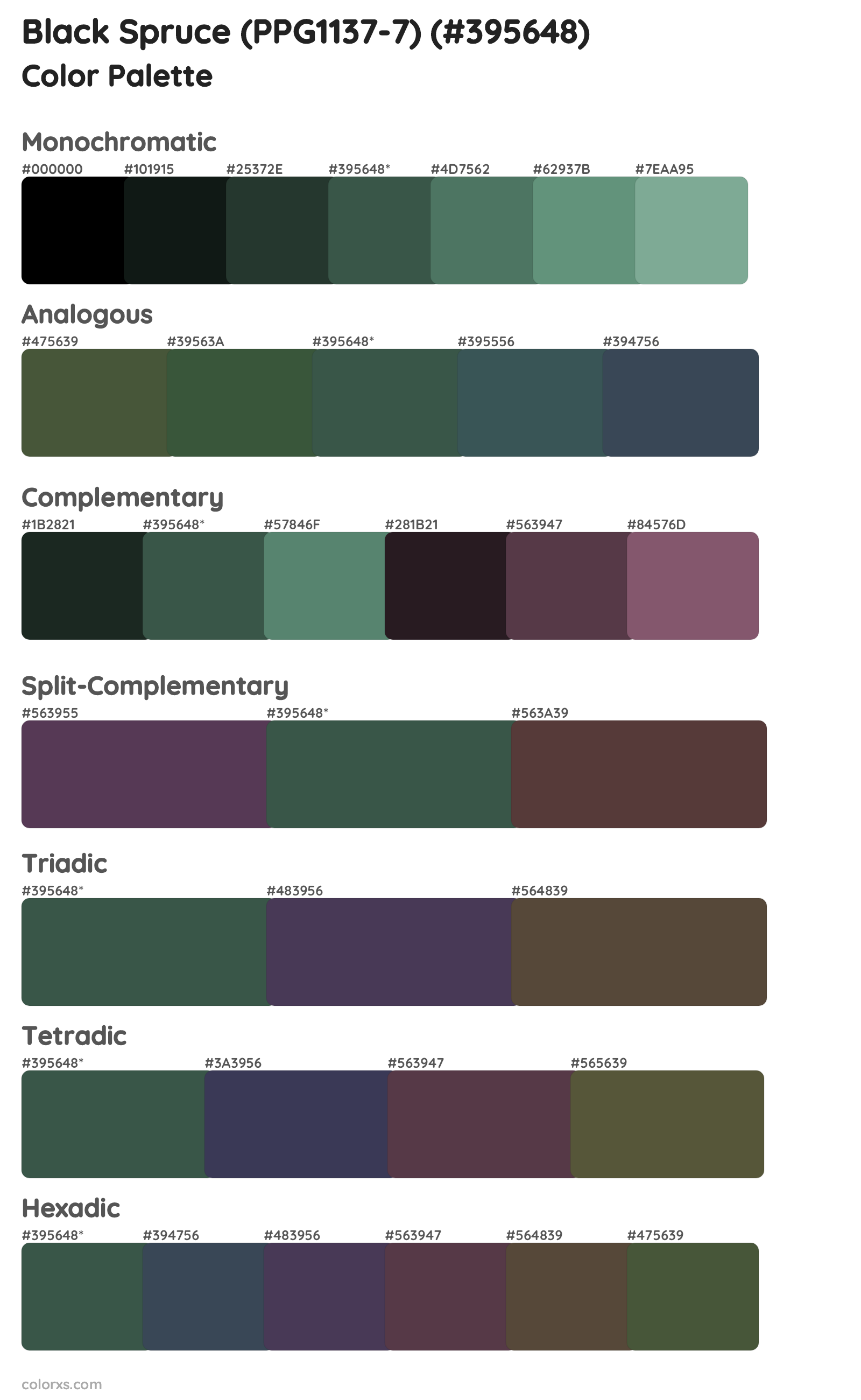 Black Spruce (PPG1137-7) Color Scheme Palettes