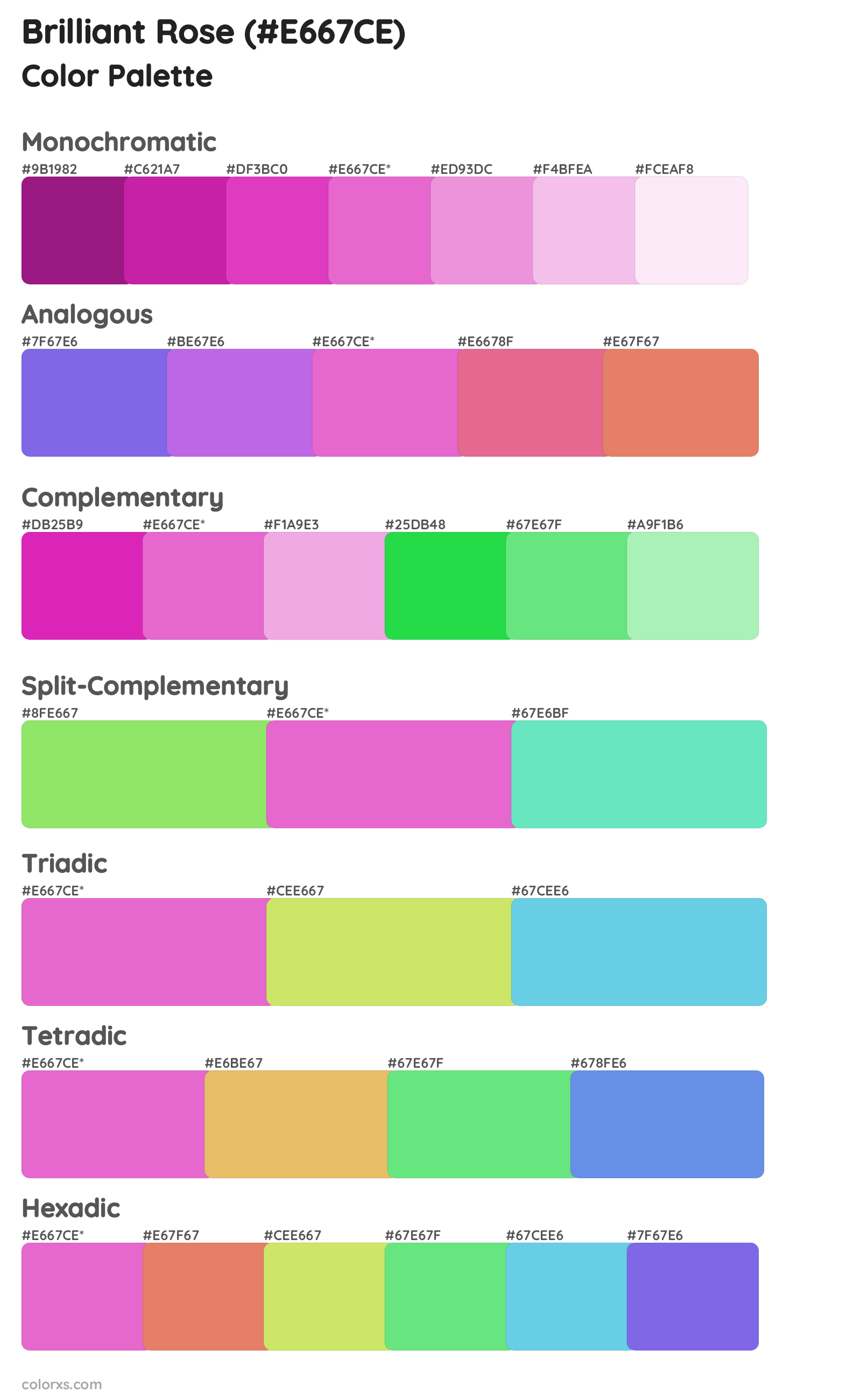 Brilliant Rose Color Scheme Palettes