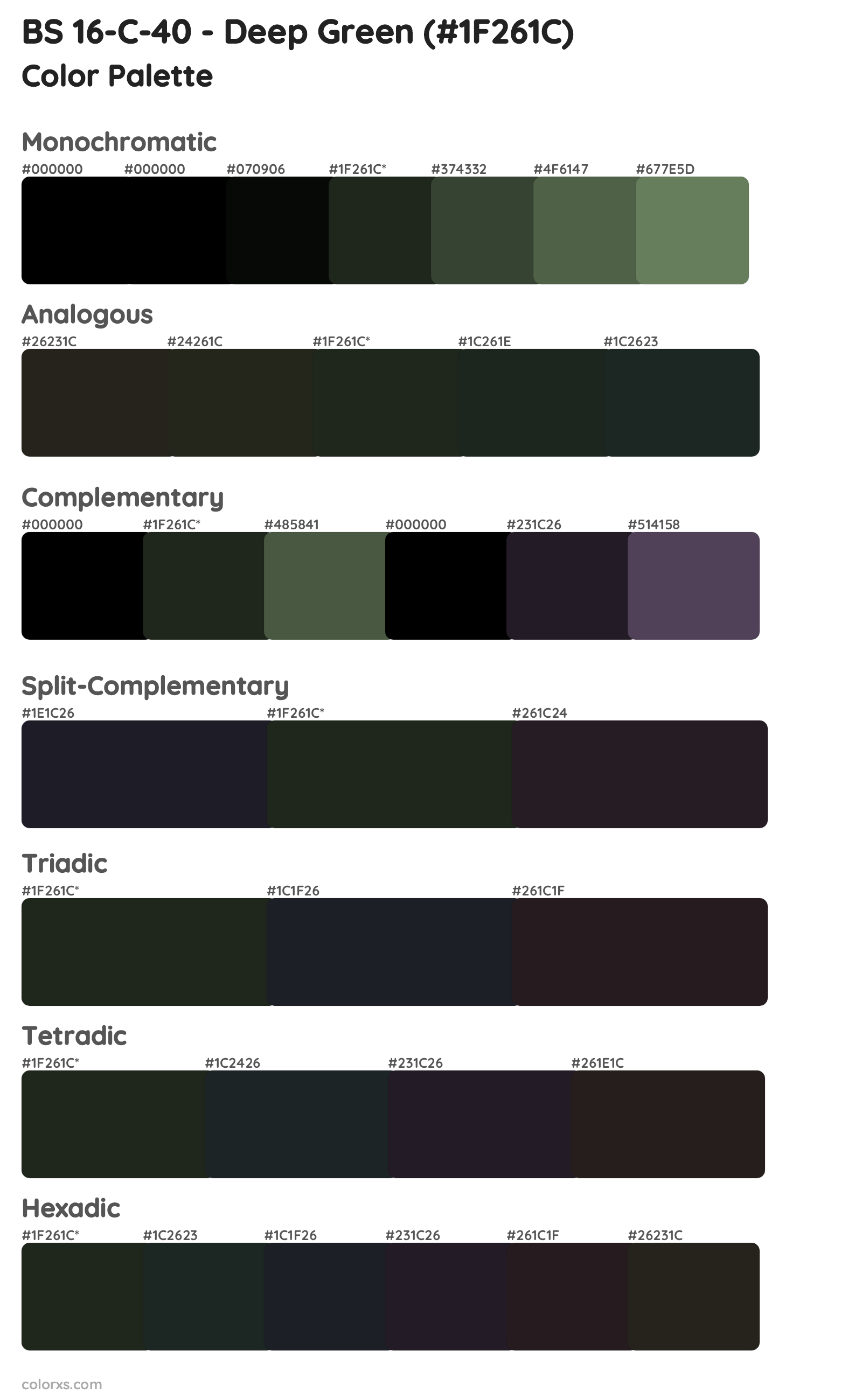 BS 16-C-40 - Deep Green Color Scheme Palettes