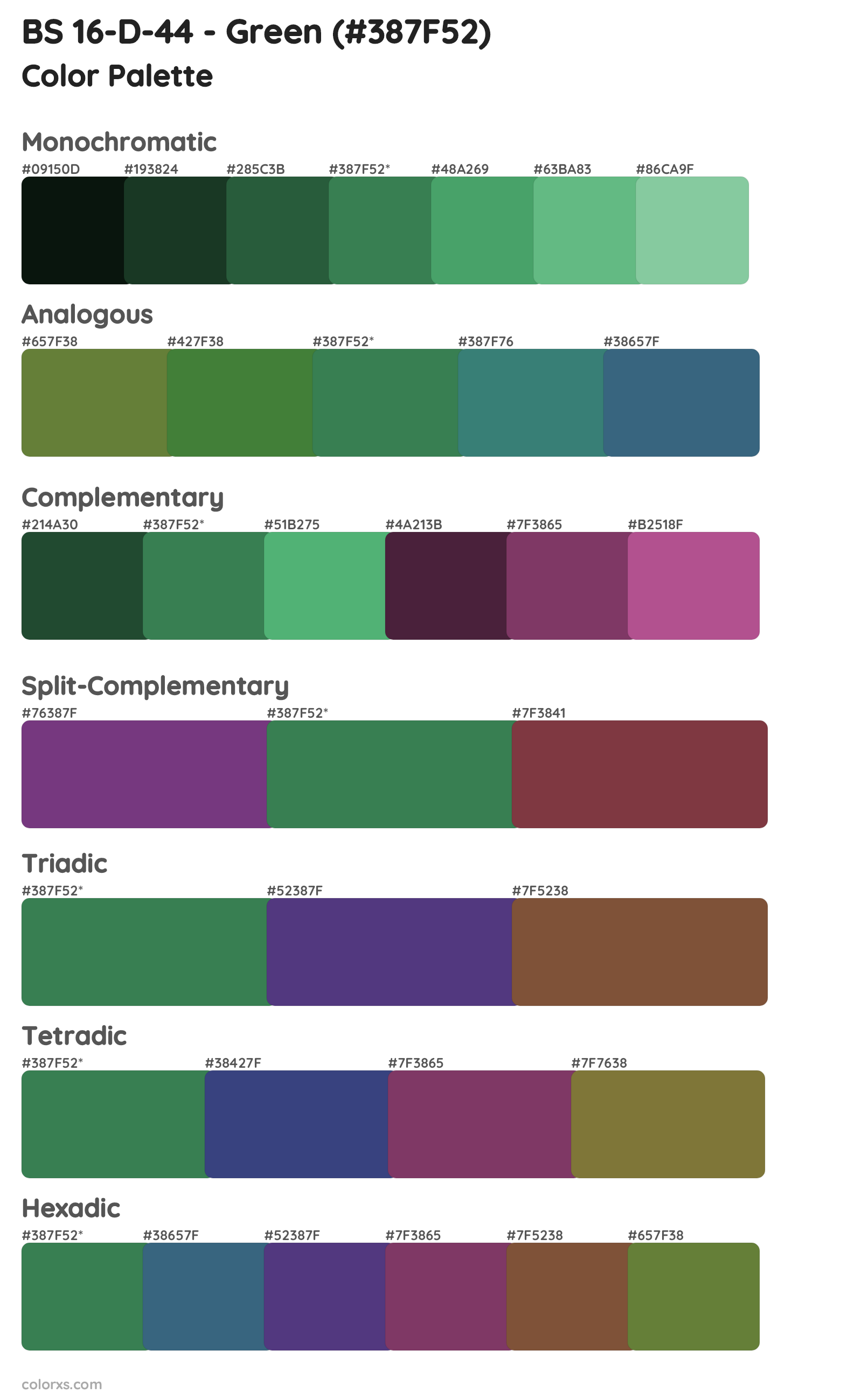 BS 16-D-44 - Green Color Scheme Palettes