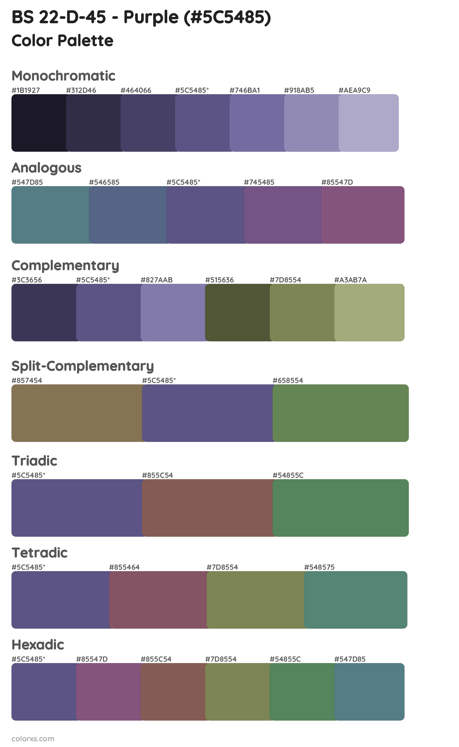 BS 22-D-45 - Purple Color Scheme Palettes
