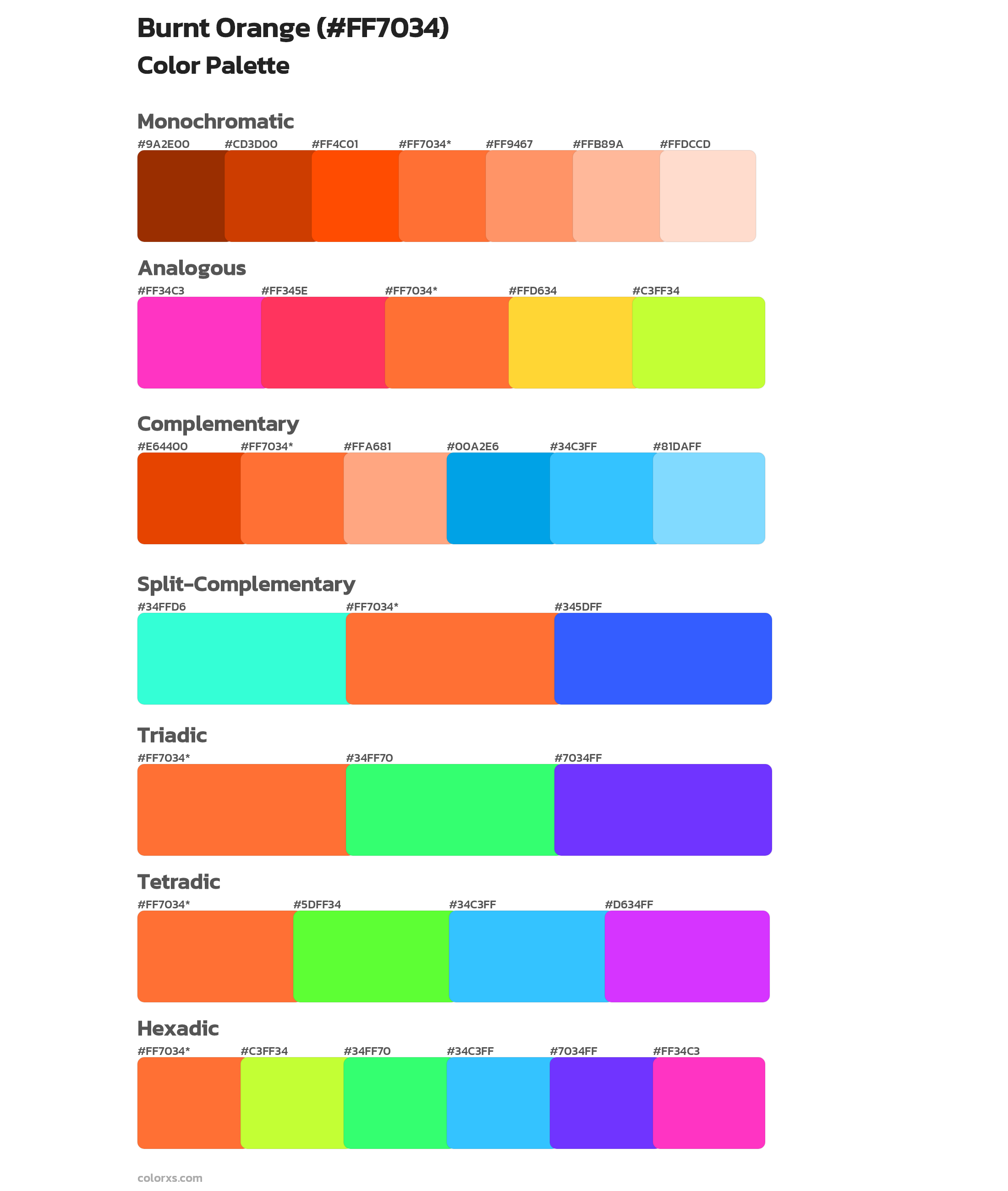 Burnt Orange Color Scheme Palettes