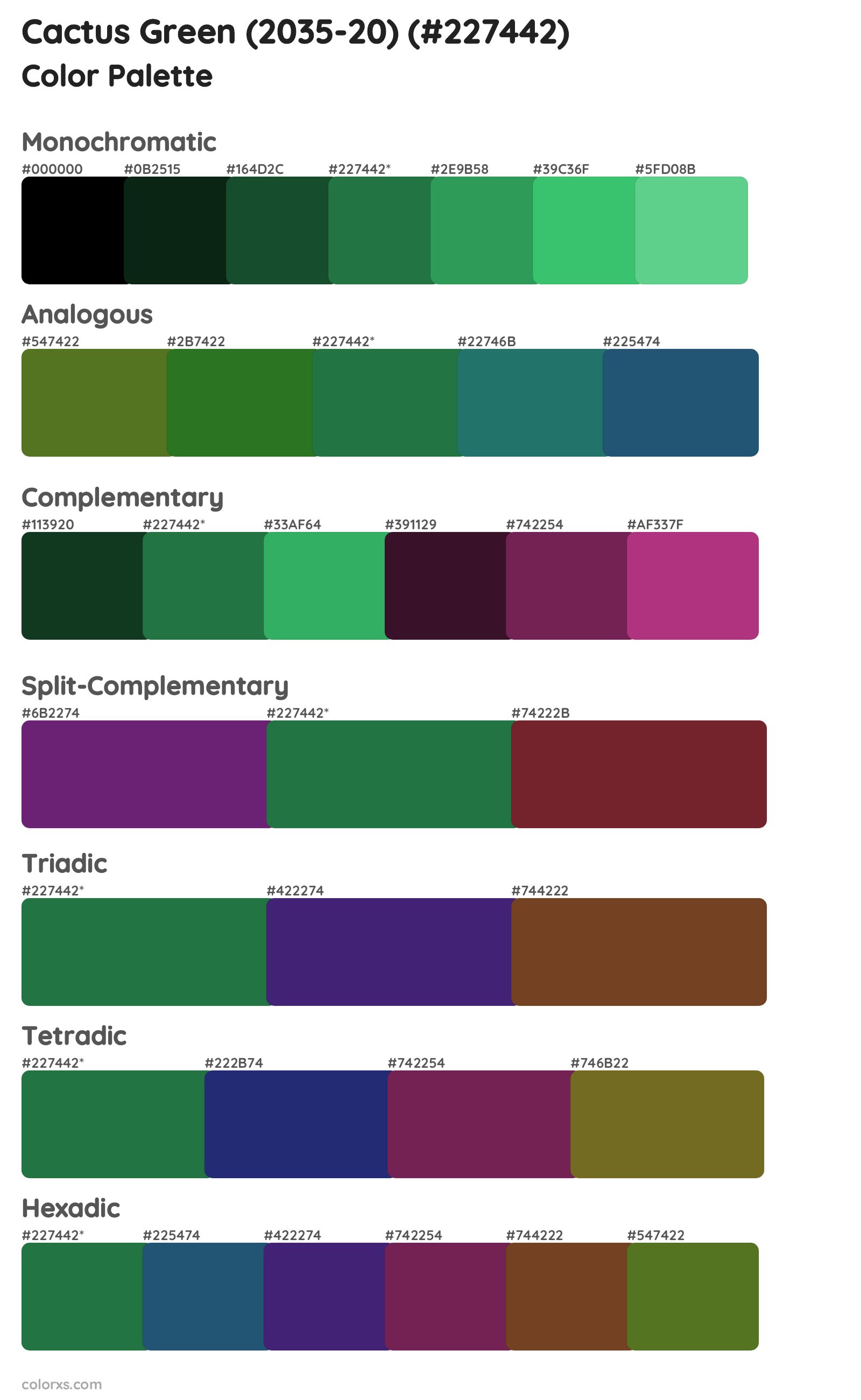Cactus Green (2035-20) Color Scheme Palettes