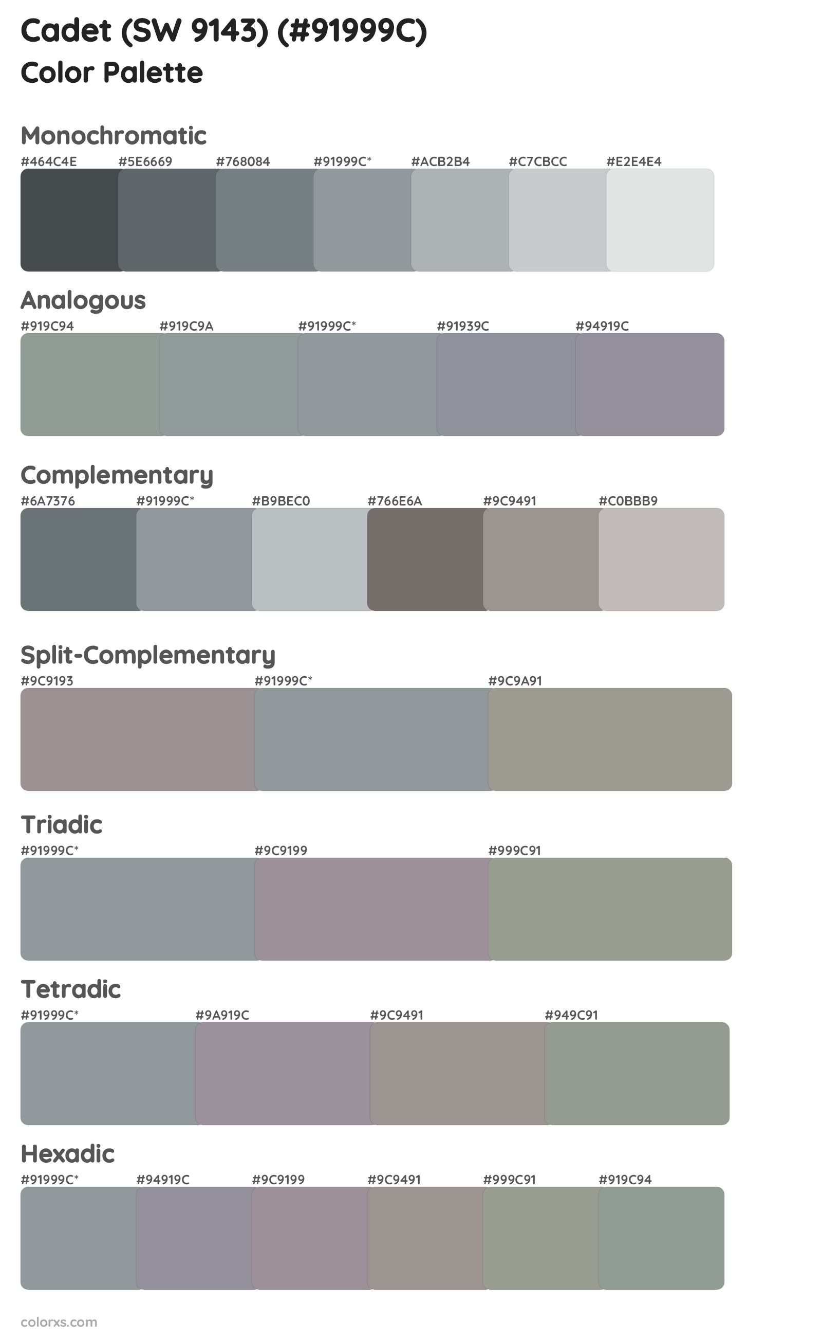 Cadet (SW 9143) Color Scheme Palettes