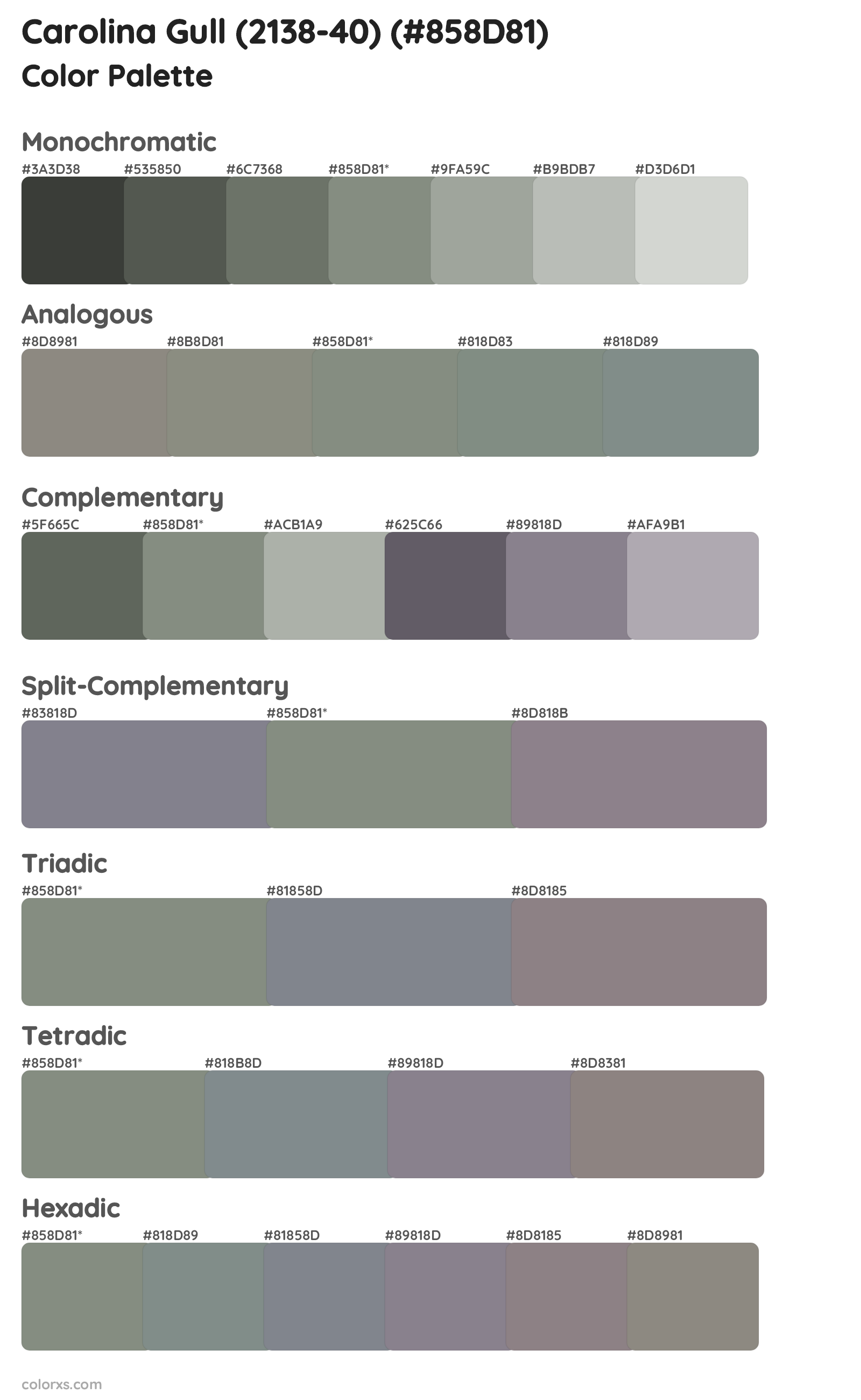Carolina Gull (2138-40) Color Scheme Palettes