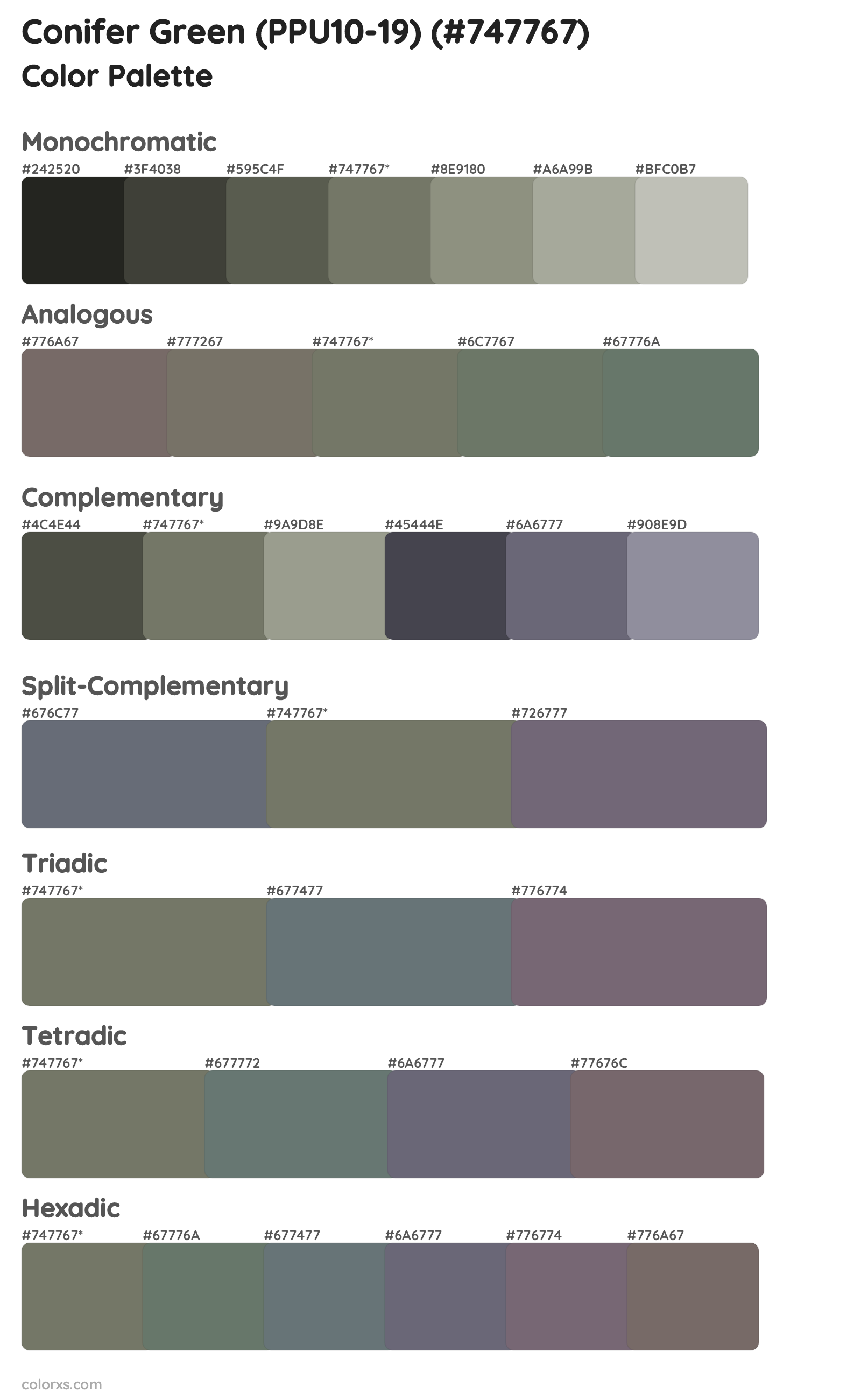 Conifer Green (PPU10-19) Color Scheme Palettes