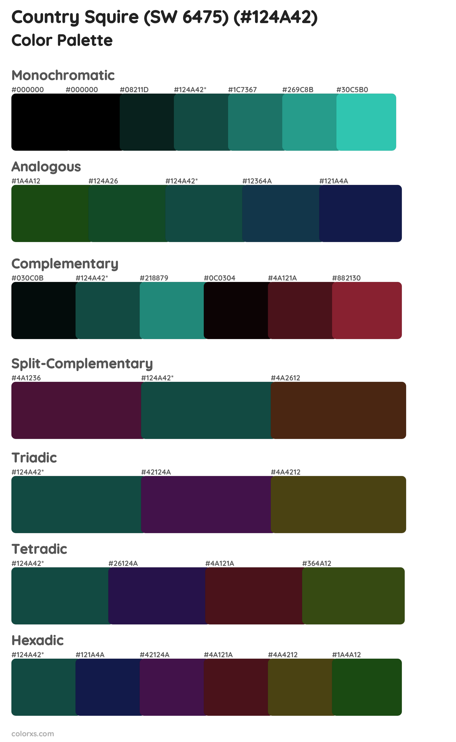Country Squire (SW 6475) Color Scheme Palettes