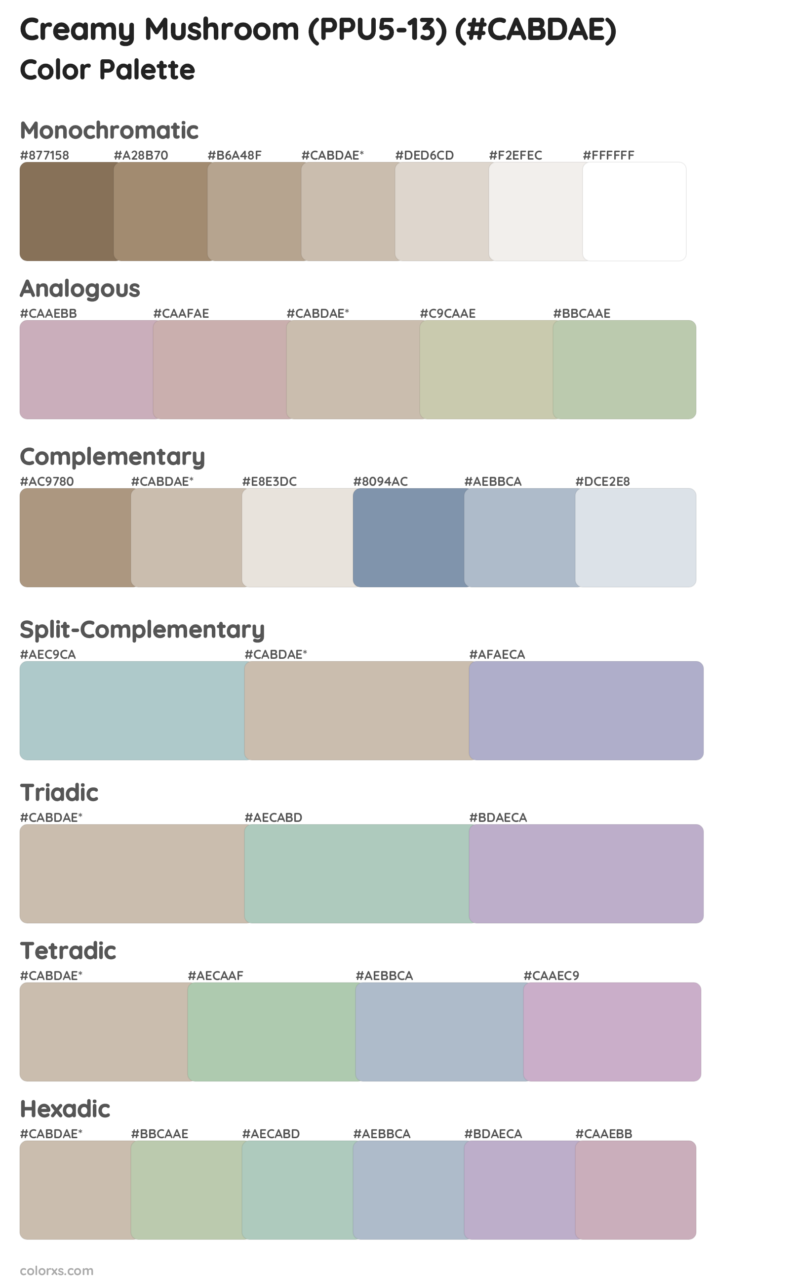 Creamy Mushroom (PPU5-13) Color Scheme Palettes