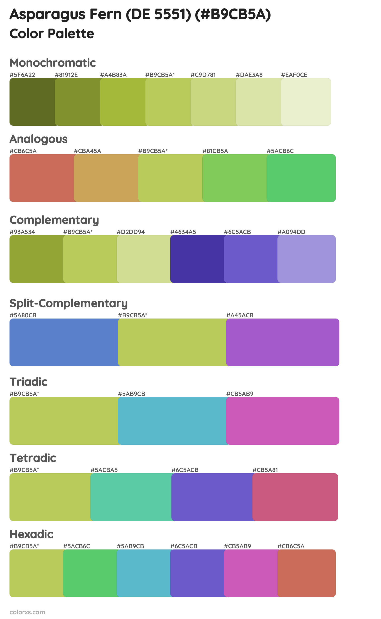 Asparagus Fern (DE 5551) Color Scheme Palettes