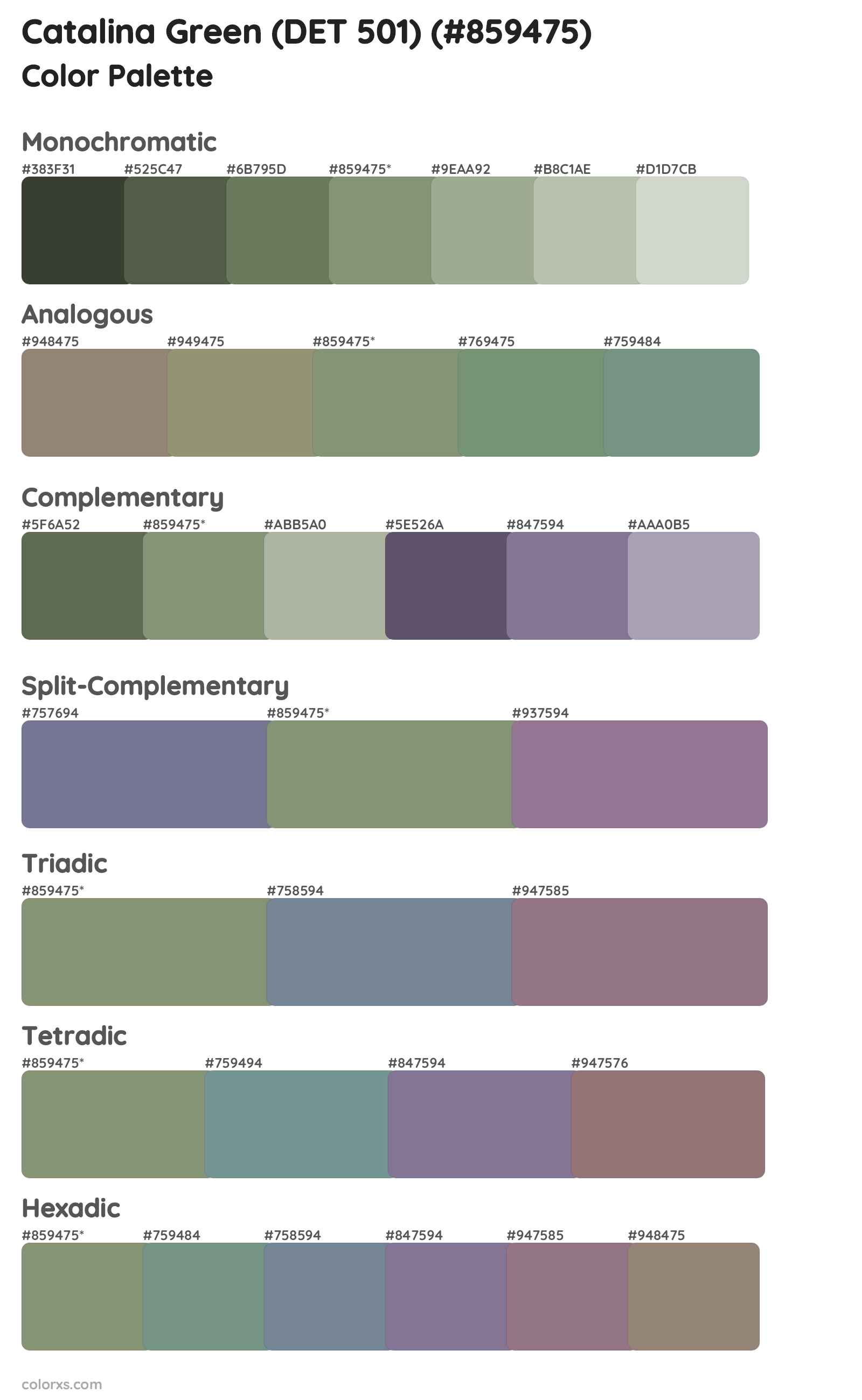 Catalina Green (DET 501) Color Scheme Palettes