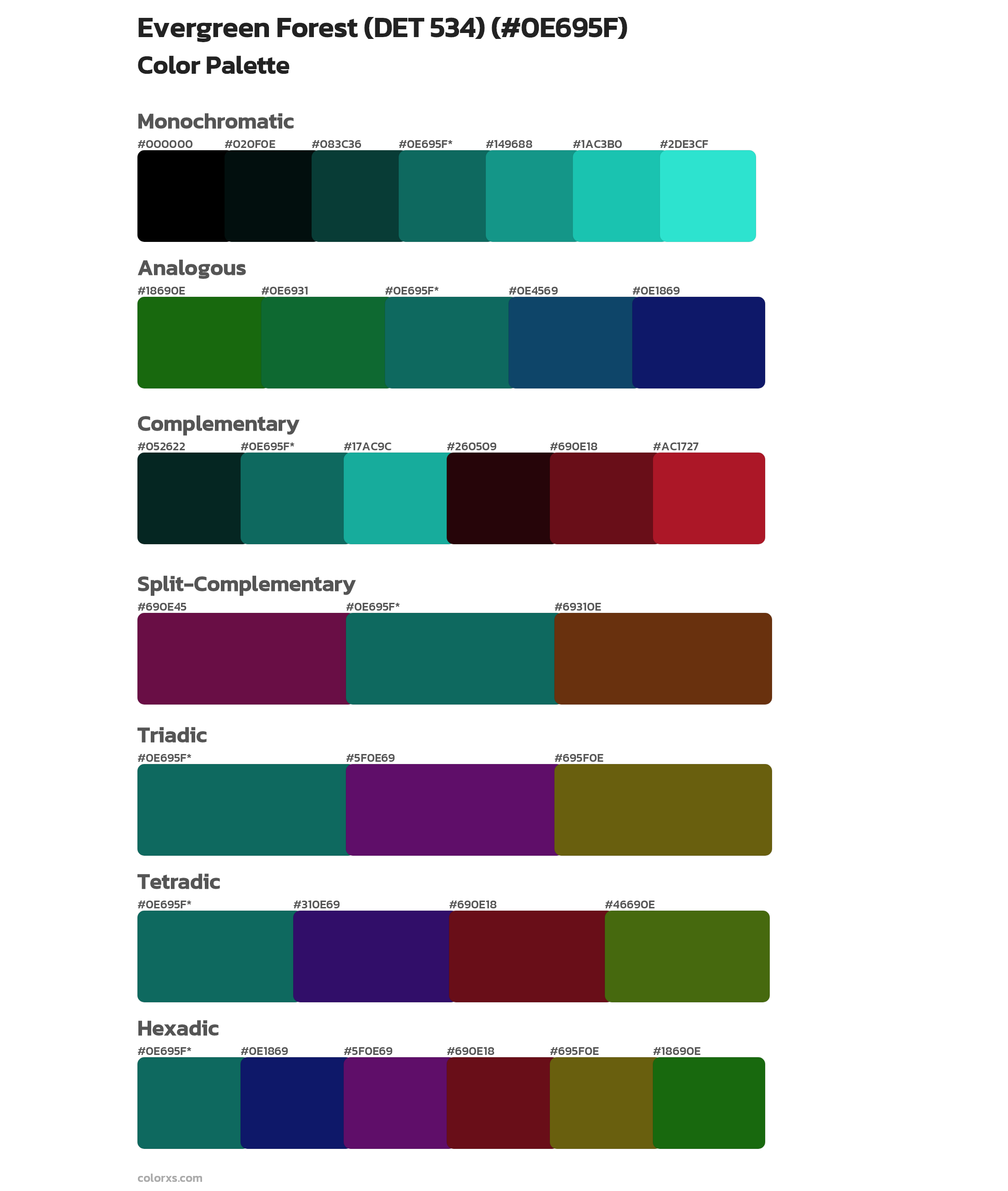 Evergreen Forest (DET 534) Color Scheme Palettes