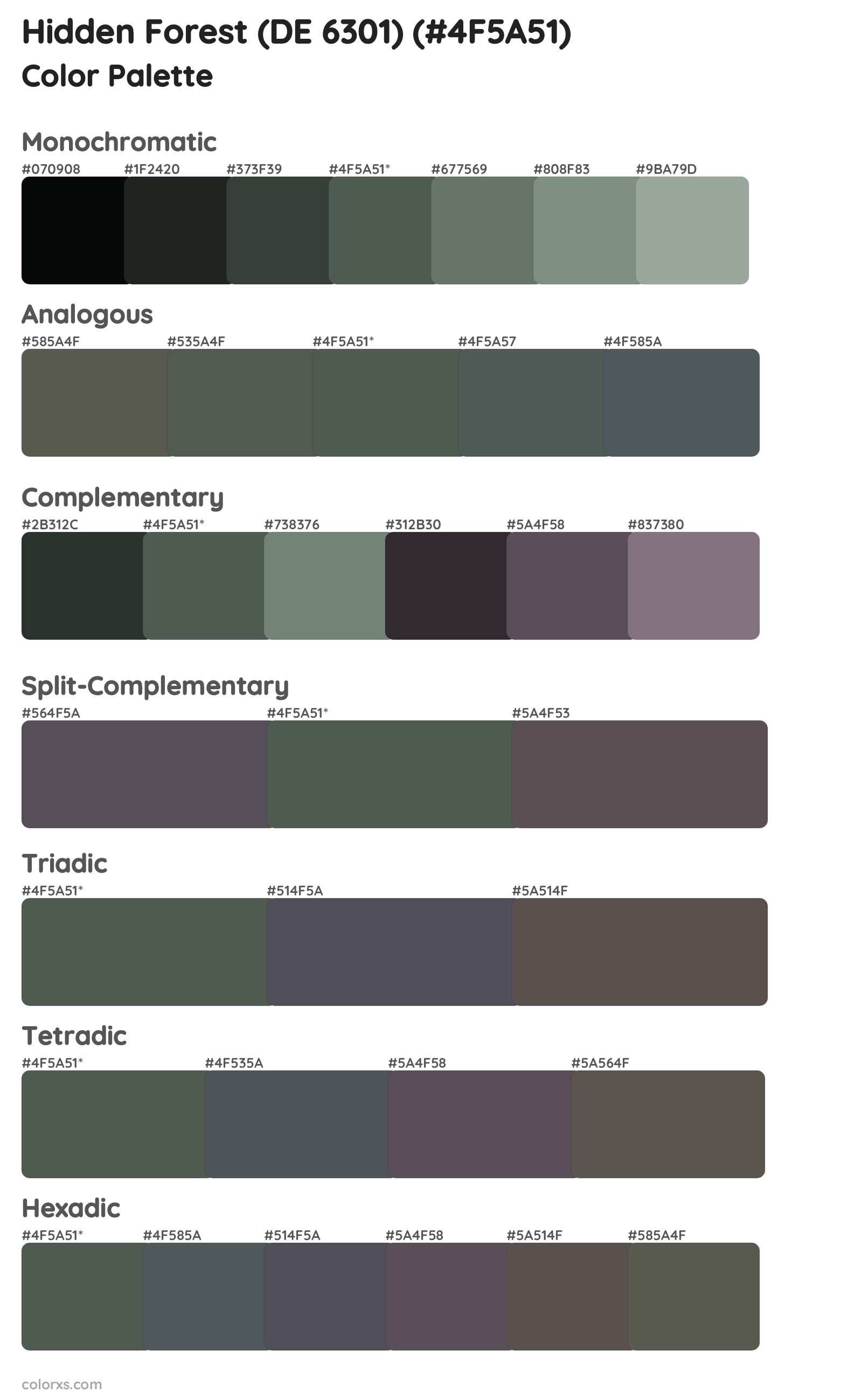 Hidden Forest (DE 6301) Color Scheme Palettes