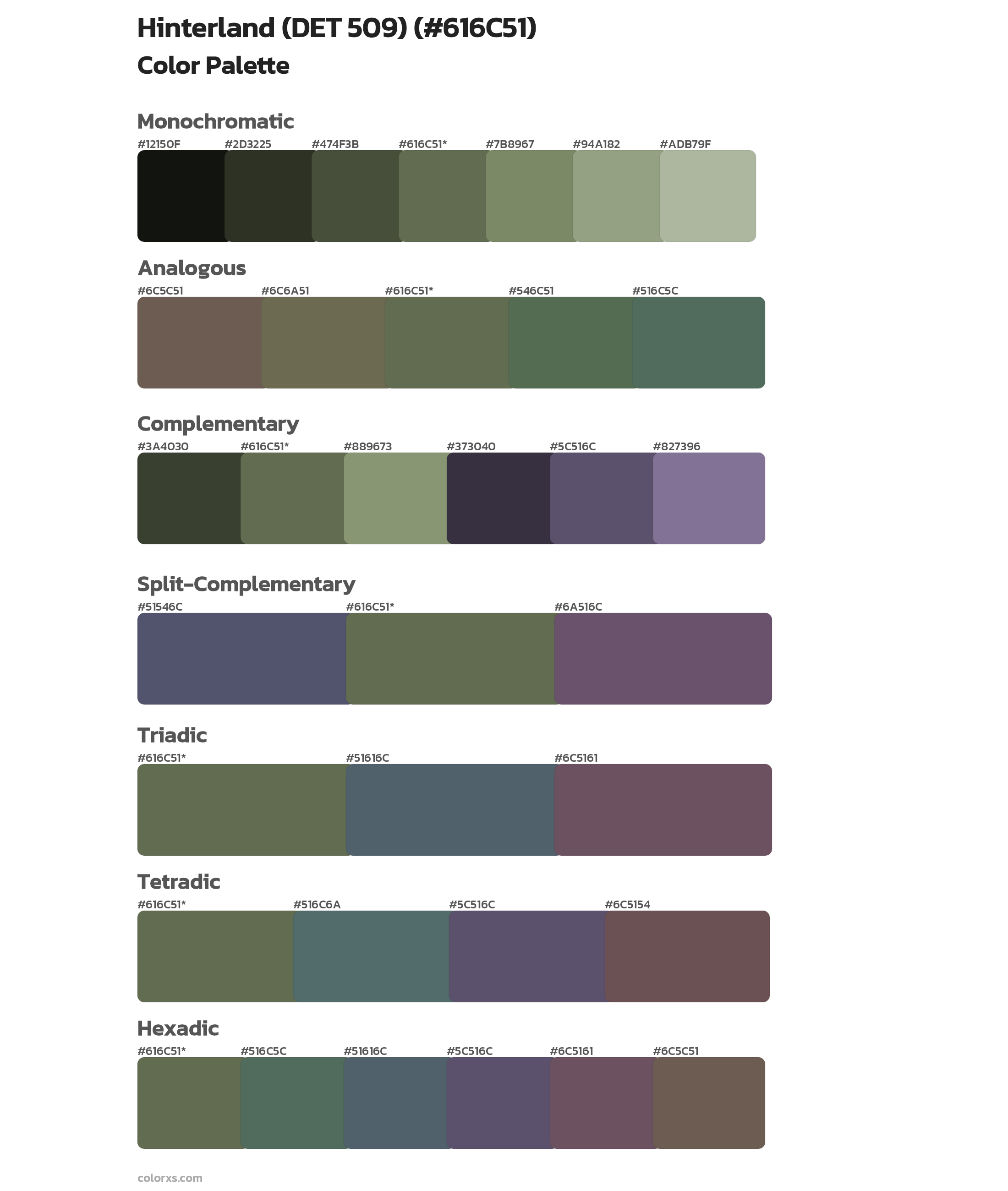 Hinterland (DET 509) Color Scheme Palettes