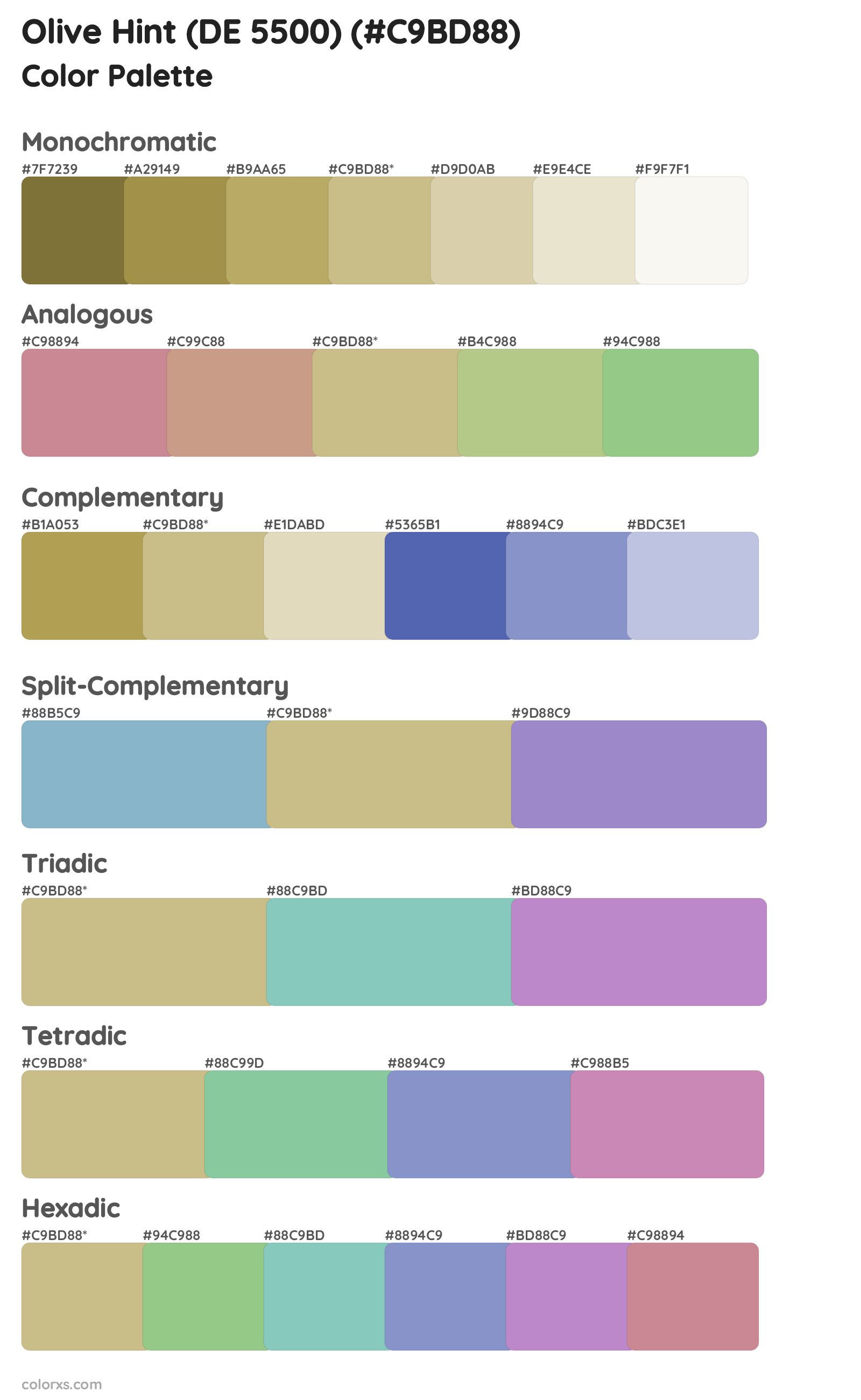 Olive Hint (DE 5500) Color Scheme Palettes