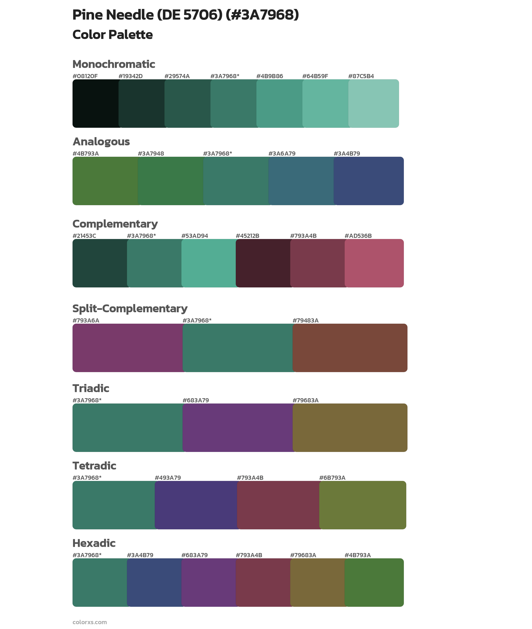 Pine Needle (DE 5706) Color Scheme Palettes