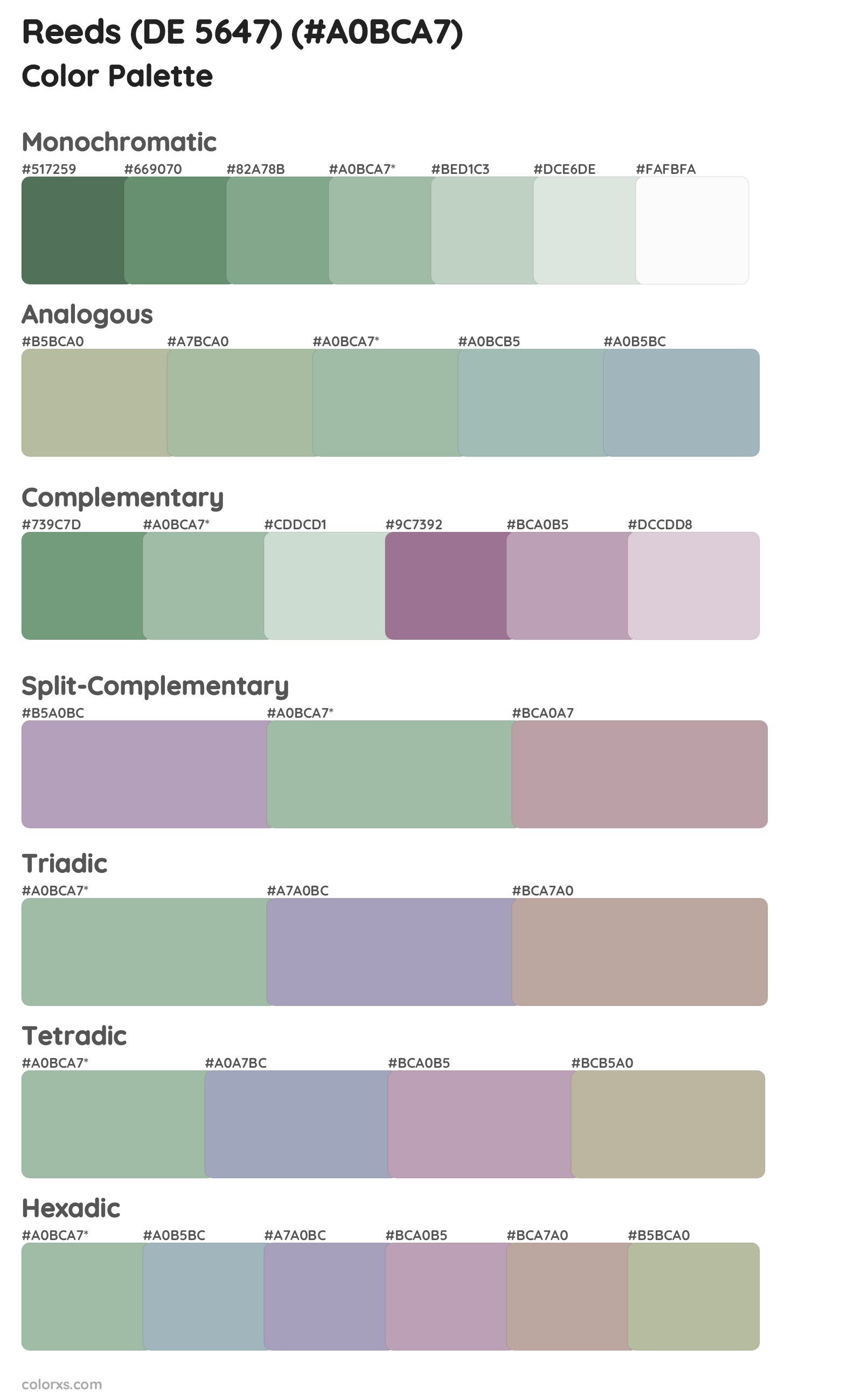 Reeds (DE 5647) Color Scheme Palettes