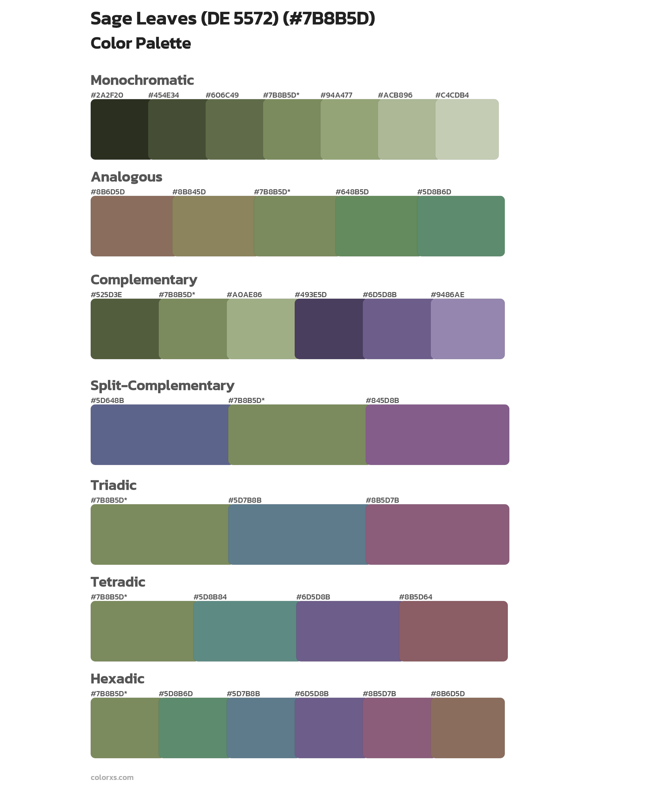 Sage Leaves (DE 5572) Color Scheme Palettes