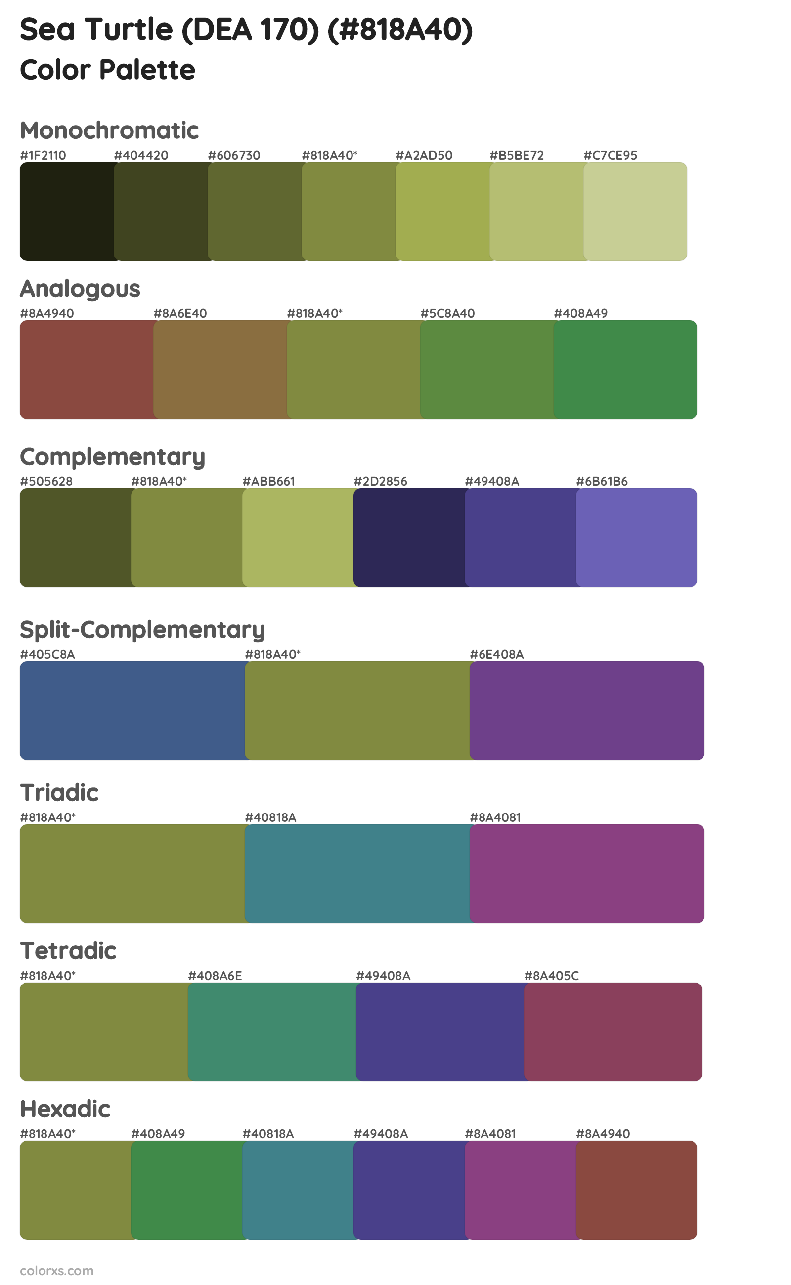 Sea Turtle (DEA 170) Color Scheme Palettes