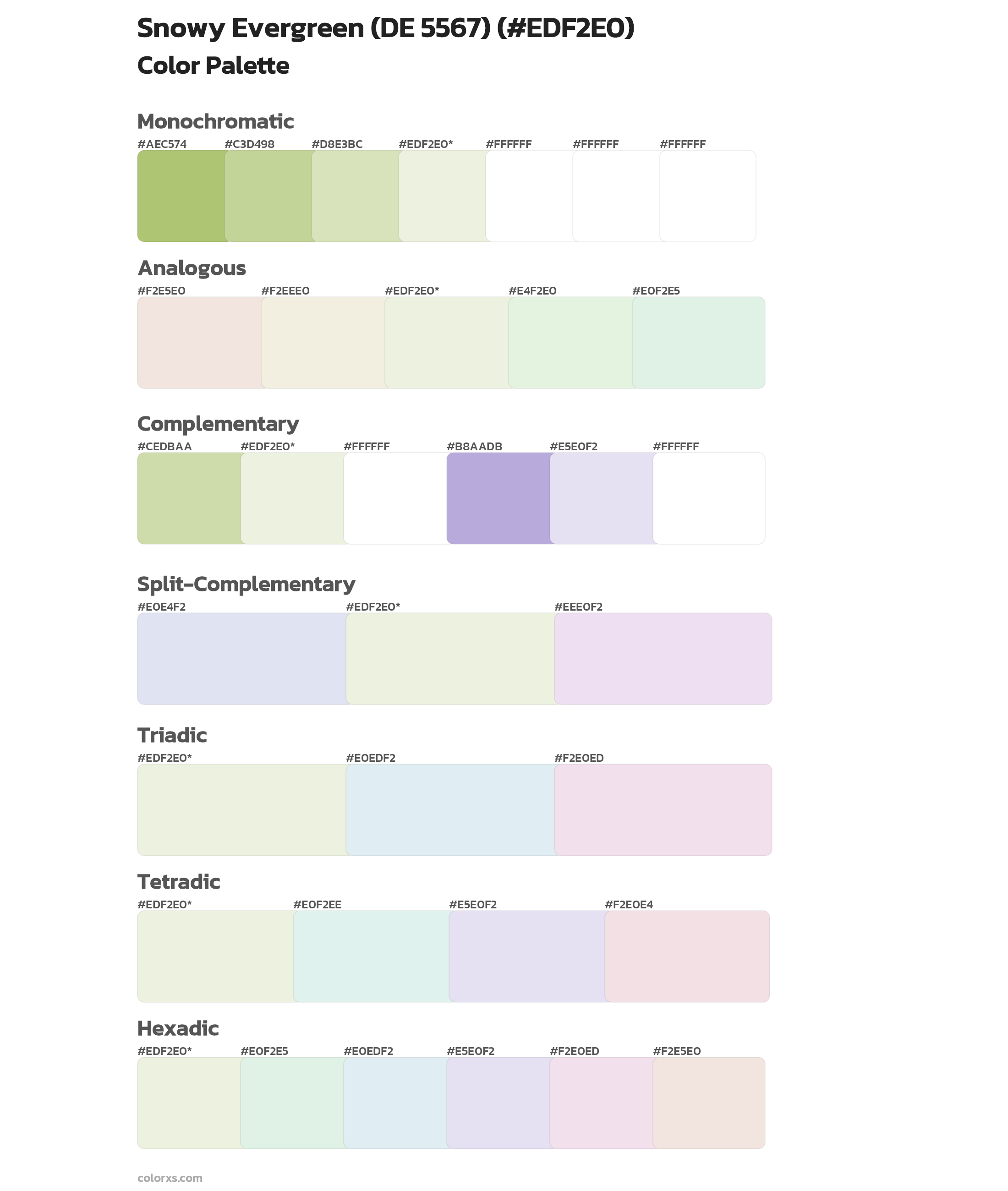 Snowy Evergreen (DE 5567) Color Scheme Palettes