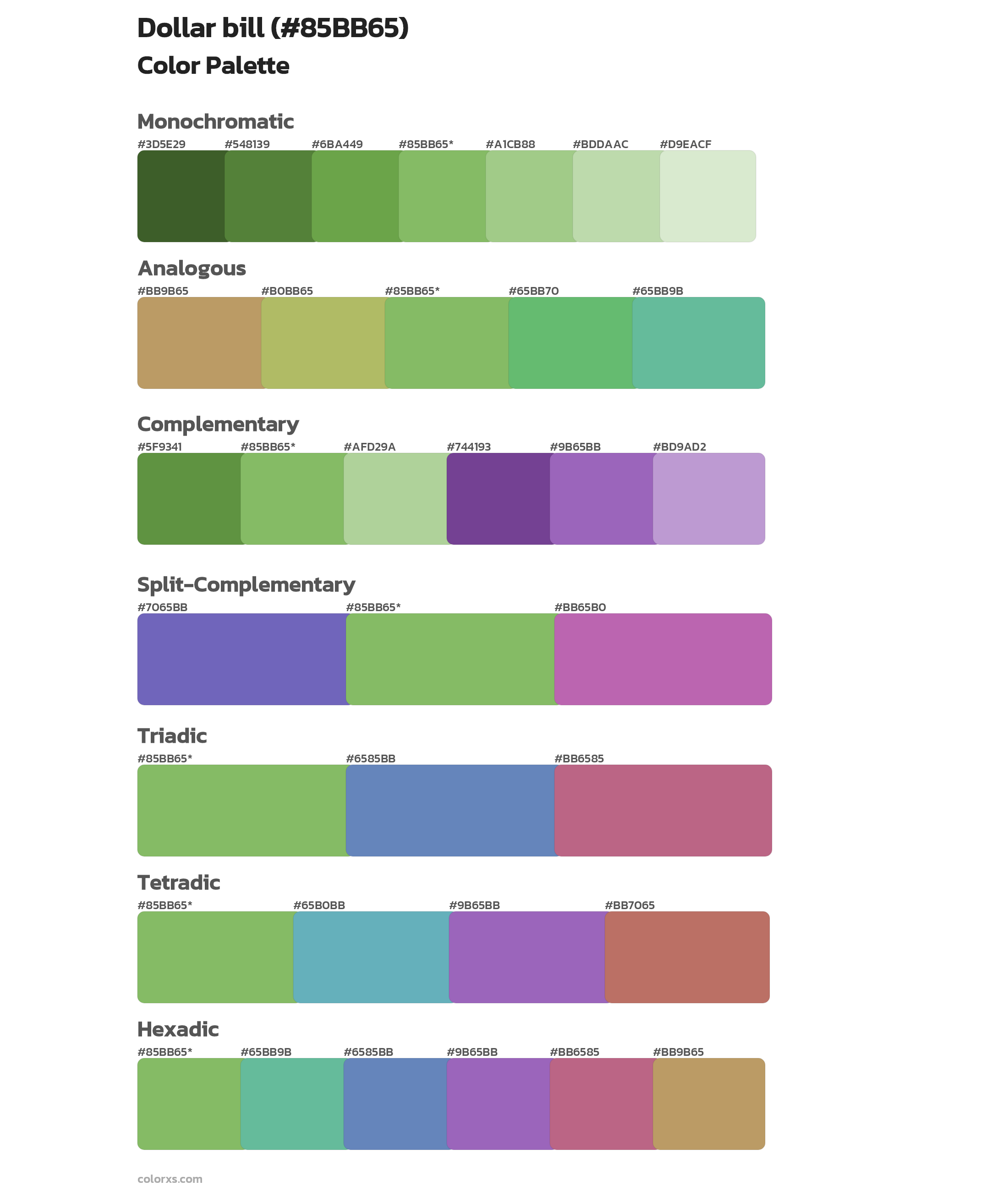 Dollar bill Color Scheme Palettes