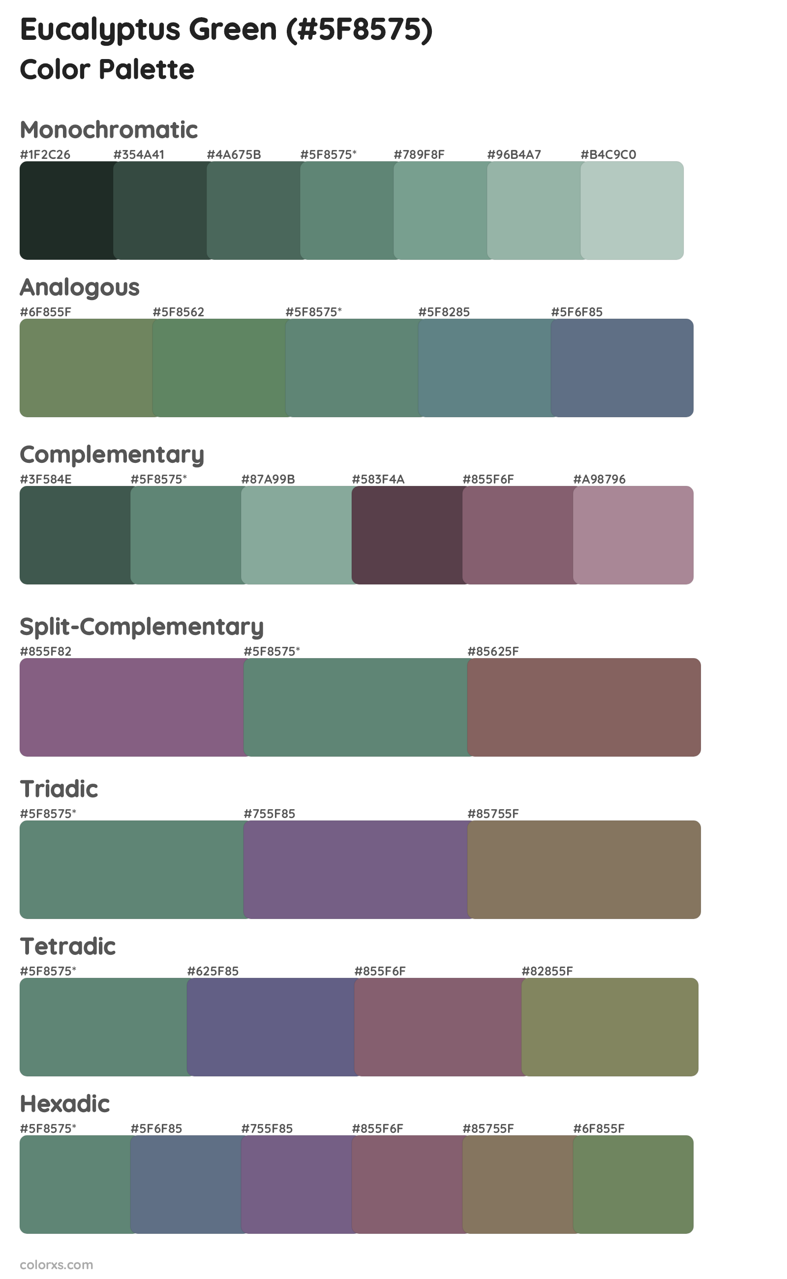 Eucalyptus Green Color Scheme Palettes