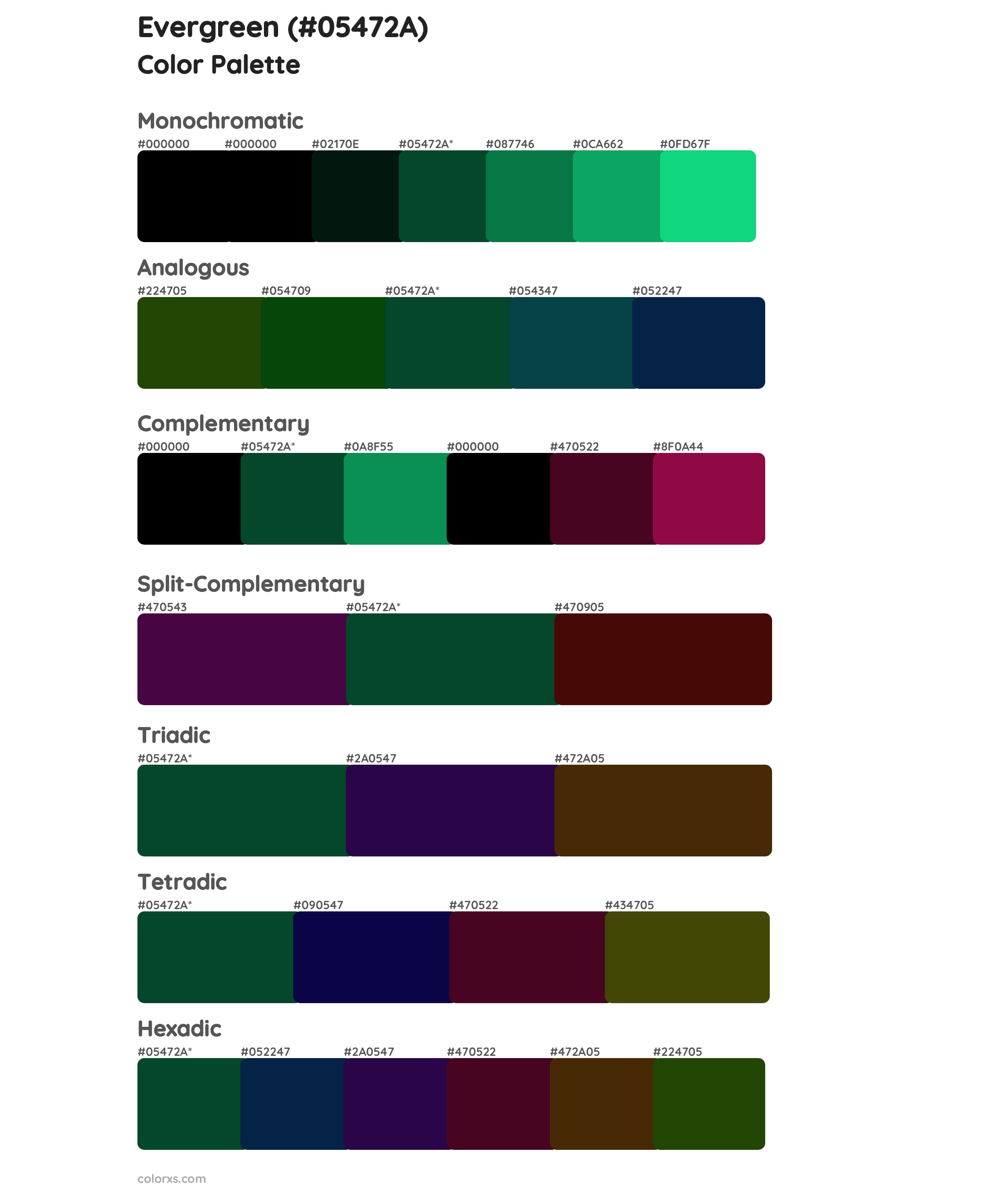 Evergreen Color Scheme Palettes