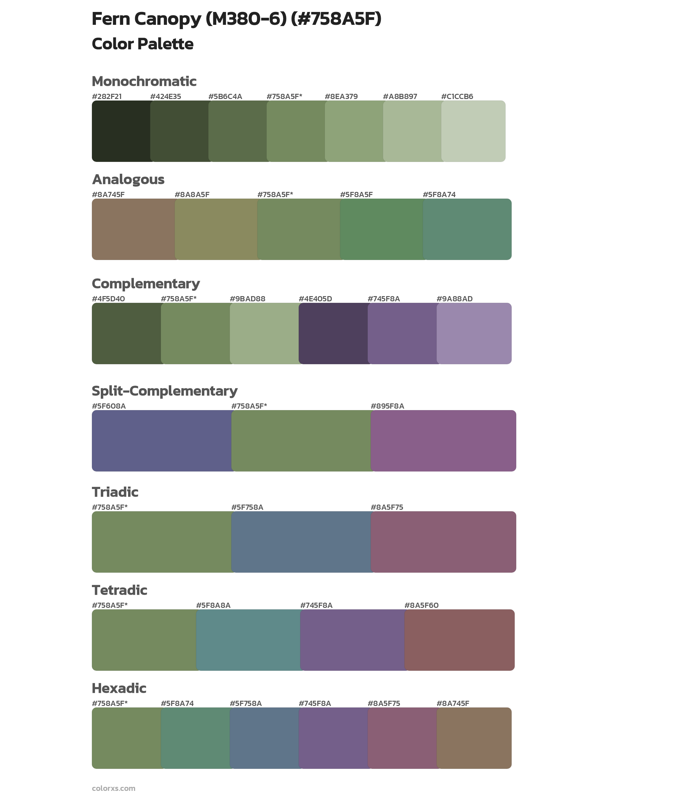 Fern Canopy (M380-6) Color Scheme Palettes