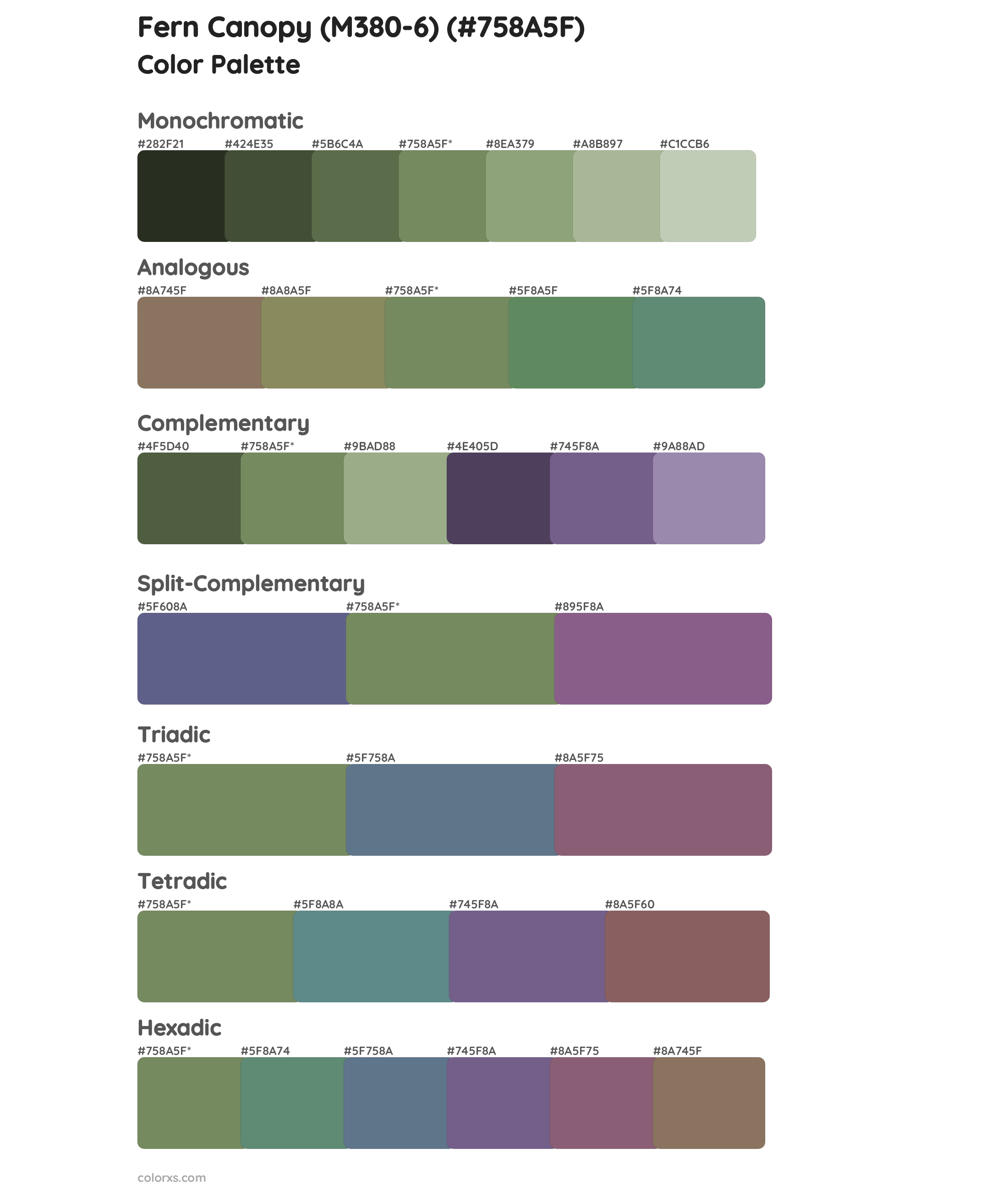 Fern Canopy (M380-6) Color Scheme Palettes