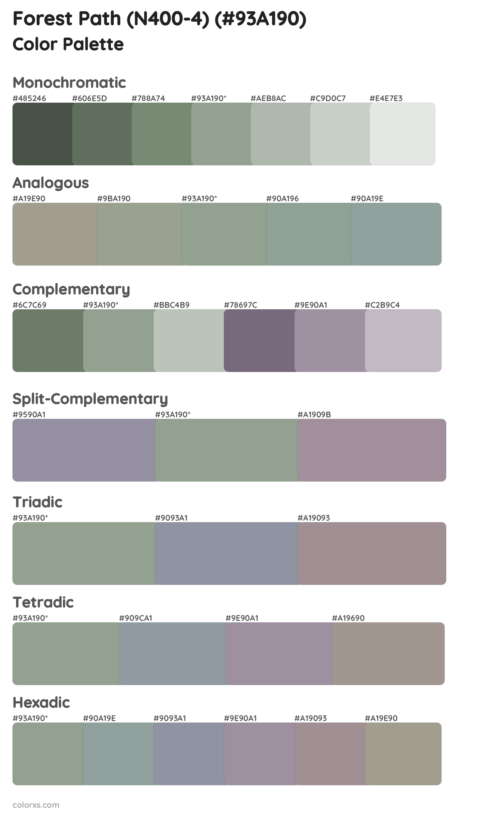 Forest Path (N400-4) Color Scheme Palettes