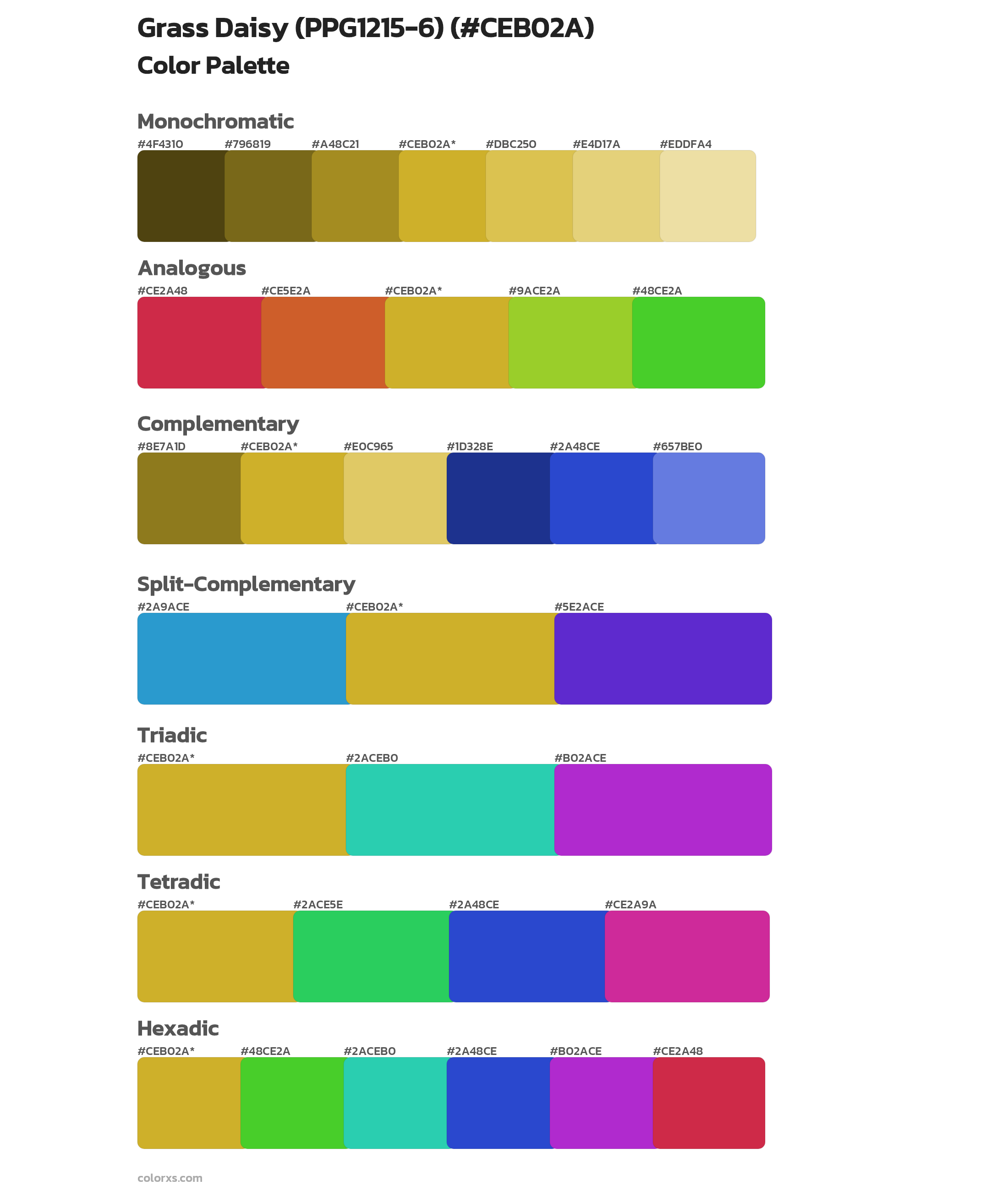 Grass Daisy (PPG1215-6) Color Scheme Palettes