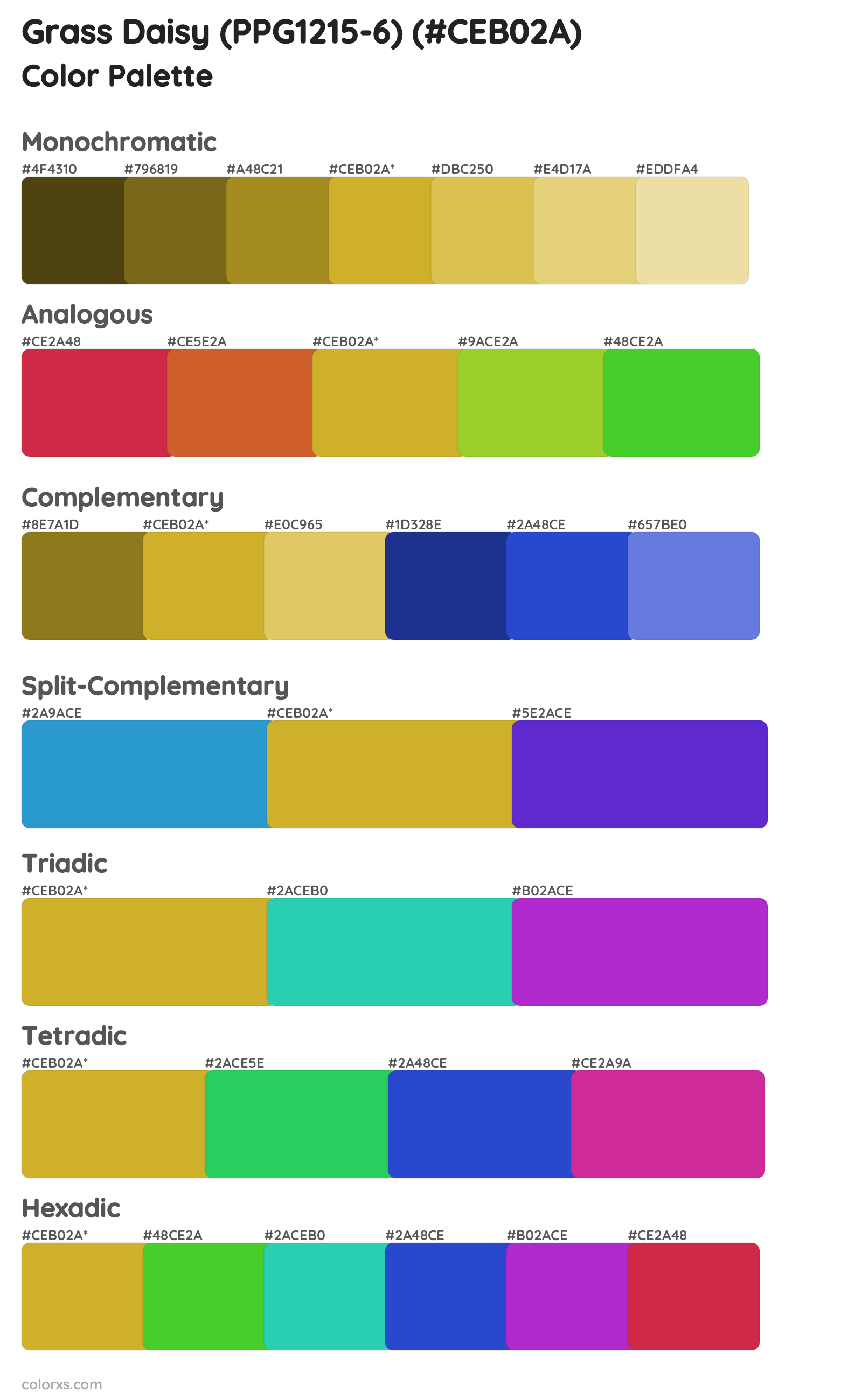 Grass Daisy (PPG1215-6) Color Scheme Palettes