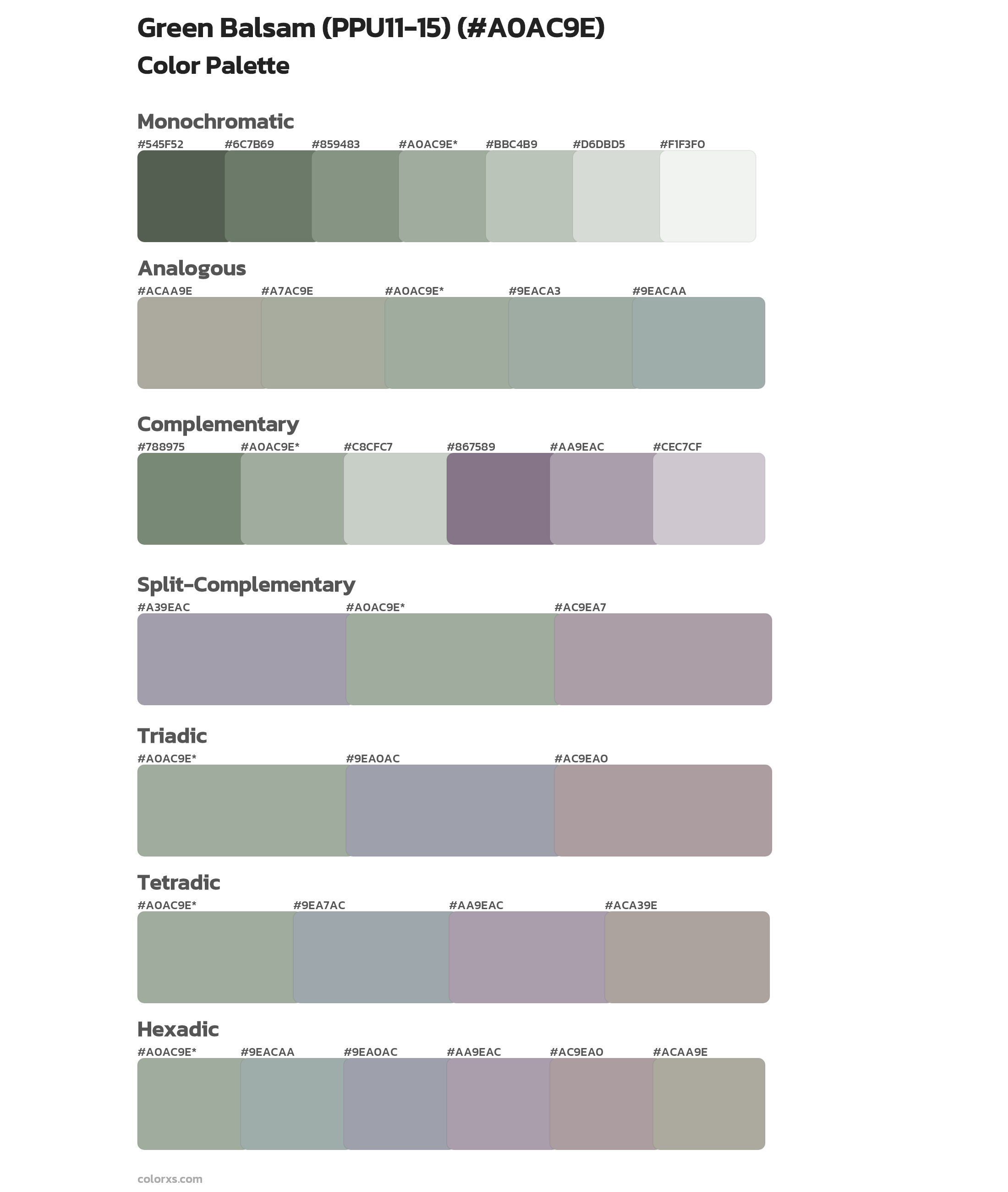 Green Balsam (PPU11-15) Color Scheme Palettes