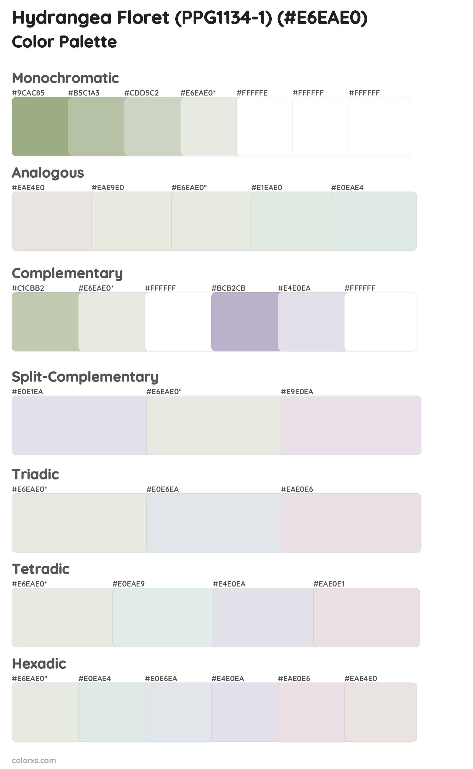 Hydrangea Floret (PPG1134-1) Color Scheme Palettes