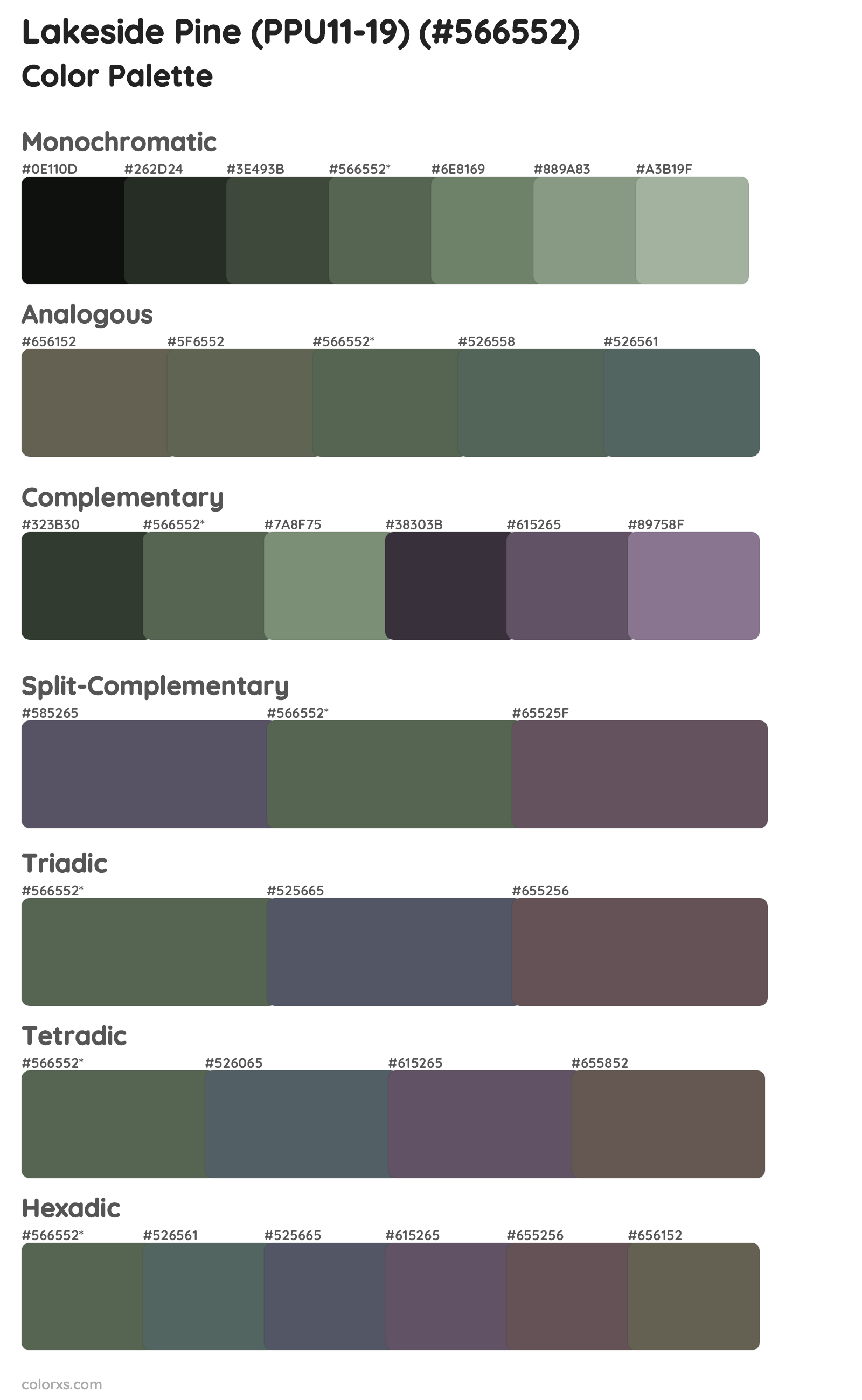 Lakeside Pine (PPU11-19) Color Scheme Palettes