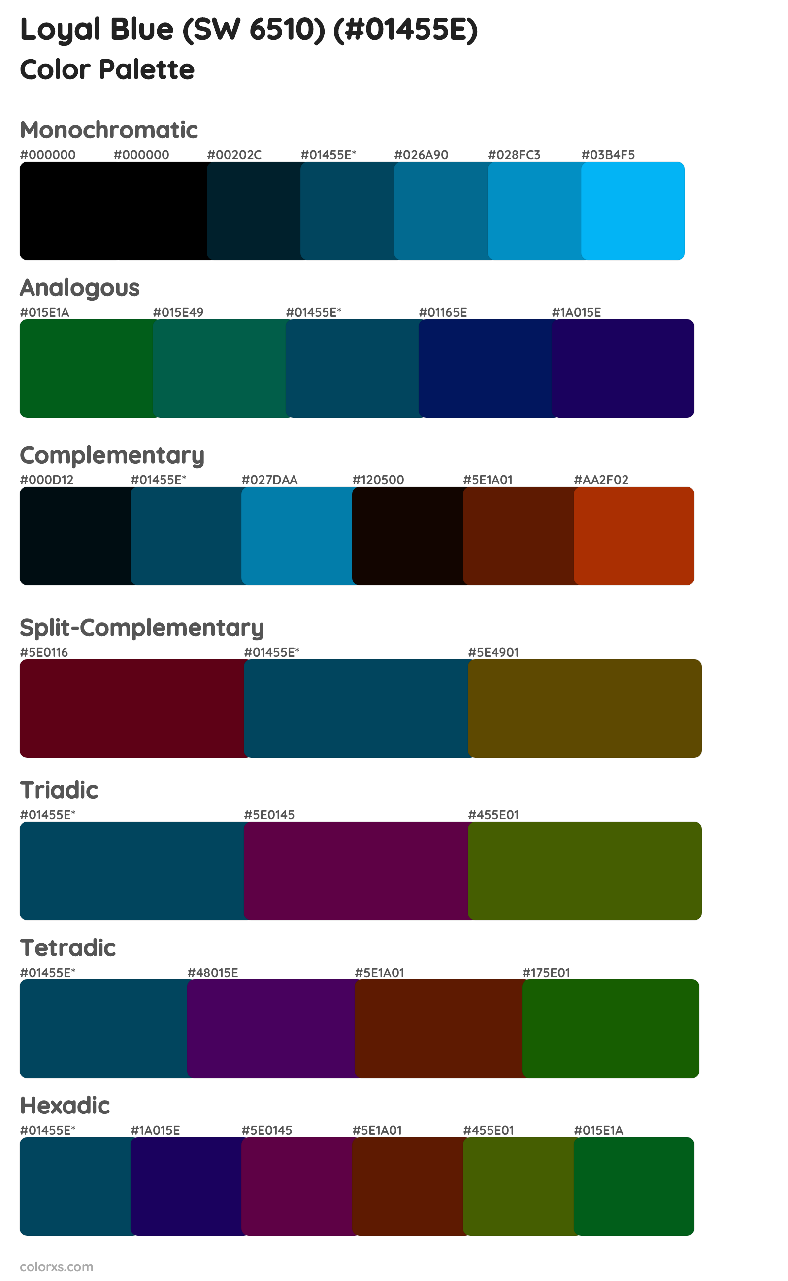 Loyal Blue (SW 6510) Color Scheme Palettes
